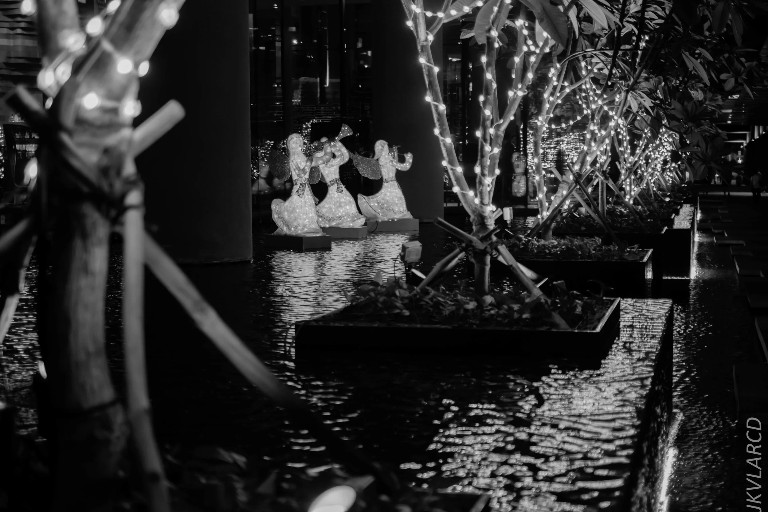 EOS 7D Mark II_2018_12_27_1291.jpg