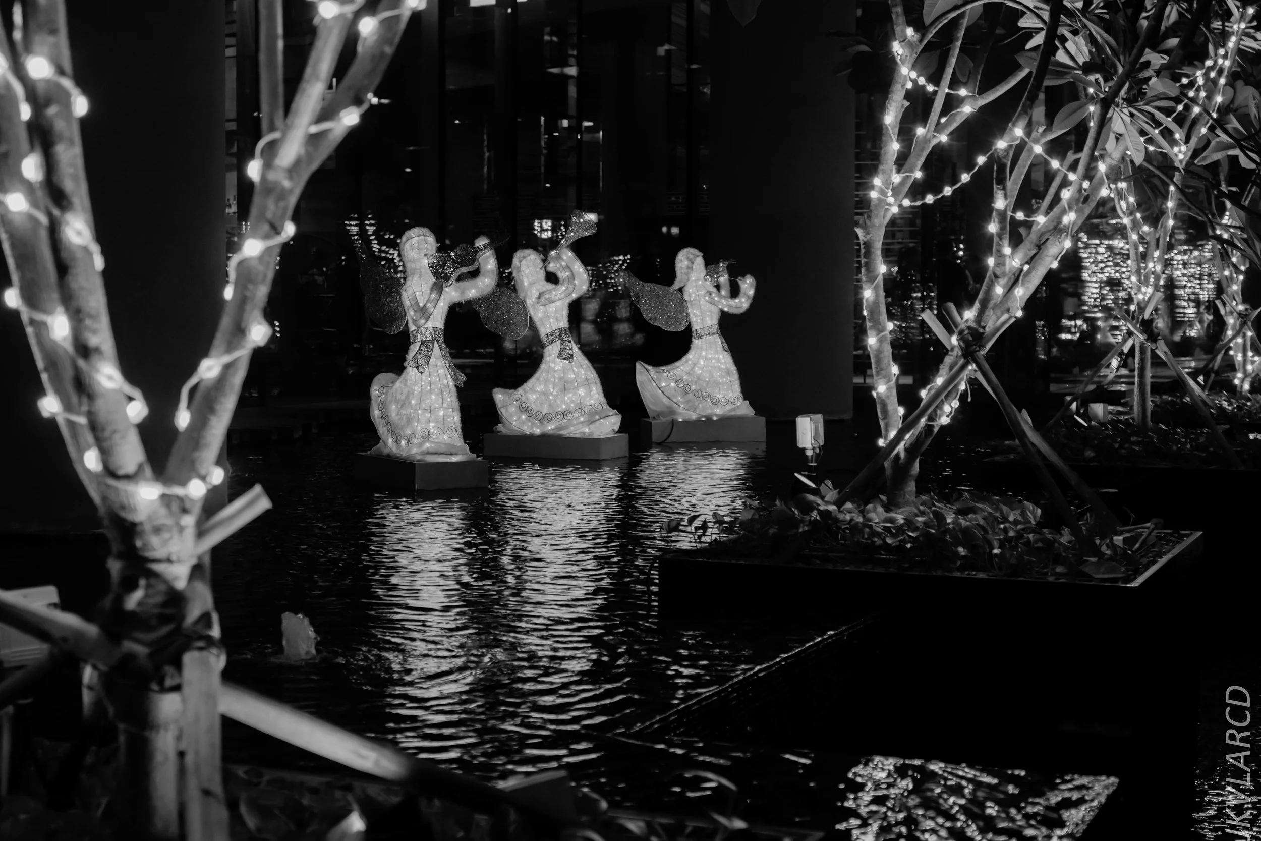 EOS 7D Mark II_2018_12_27_1292.jpg