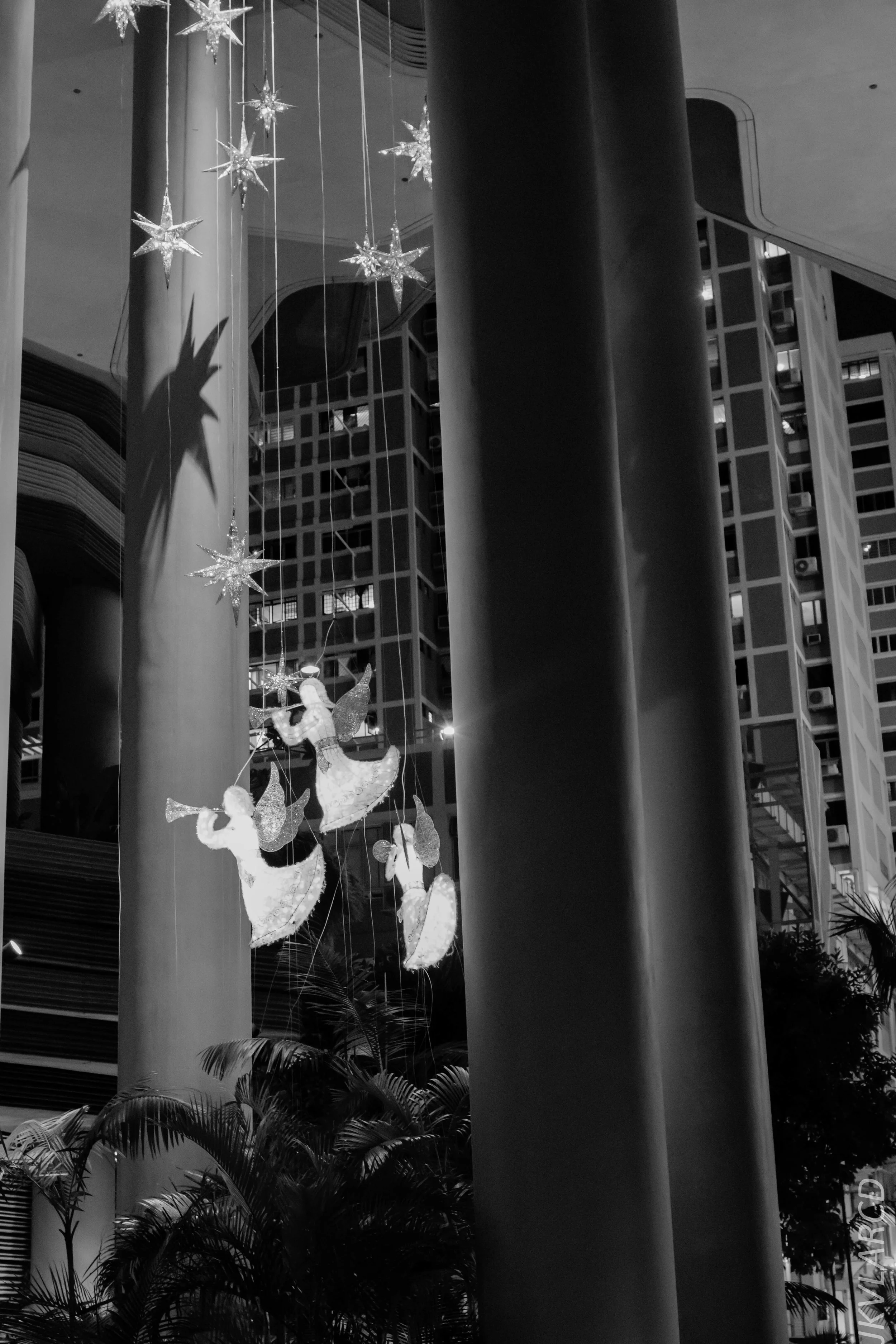 EOS 7D Mark II_2018_12_27_1294.jpg