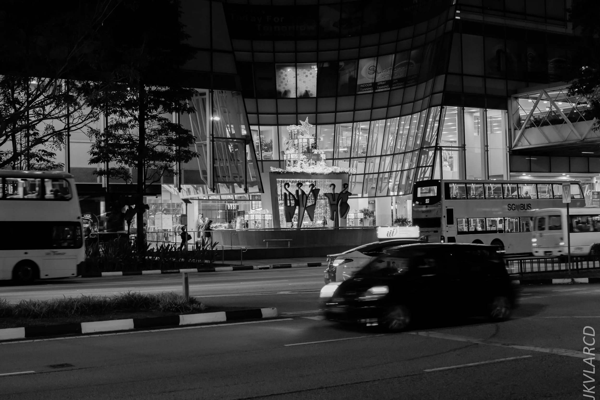 EOS 7D Mark II_2018_12_27_1302.jpg