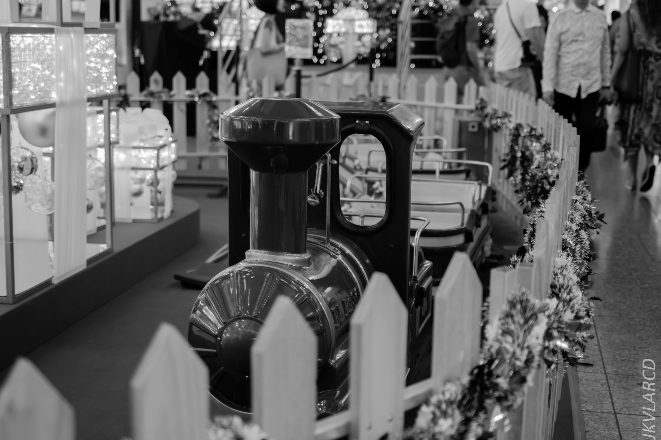 EOS 7D Mark II_2018_12_27_1306.jpg