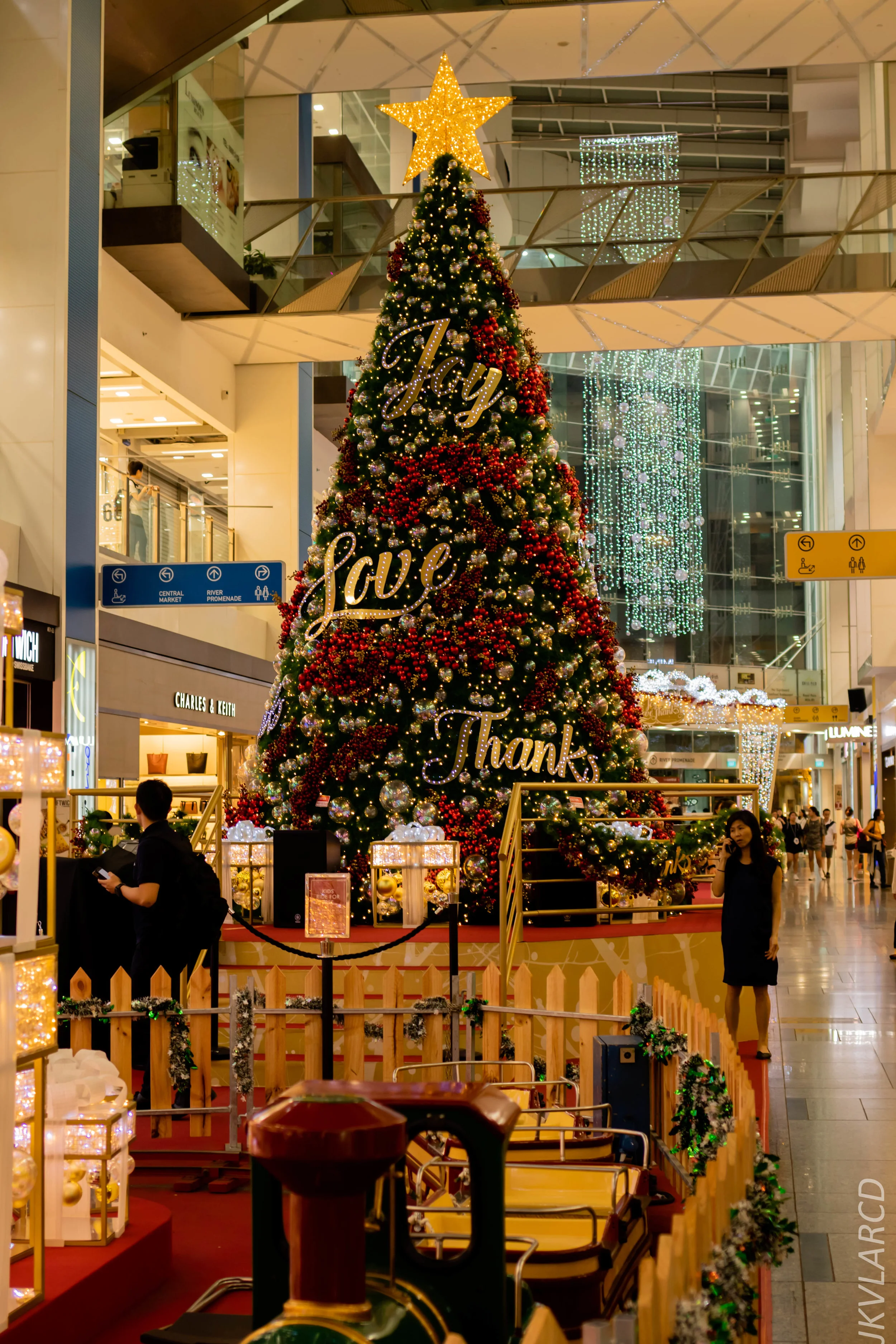 EOS 7D Mark II_2018_12_27_1305.jpg