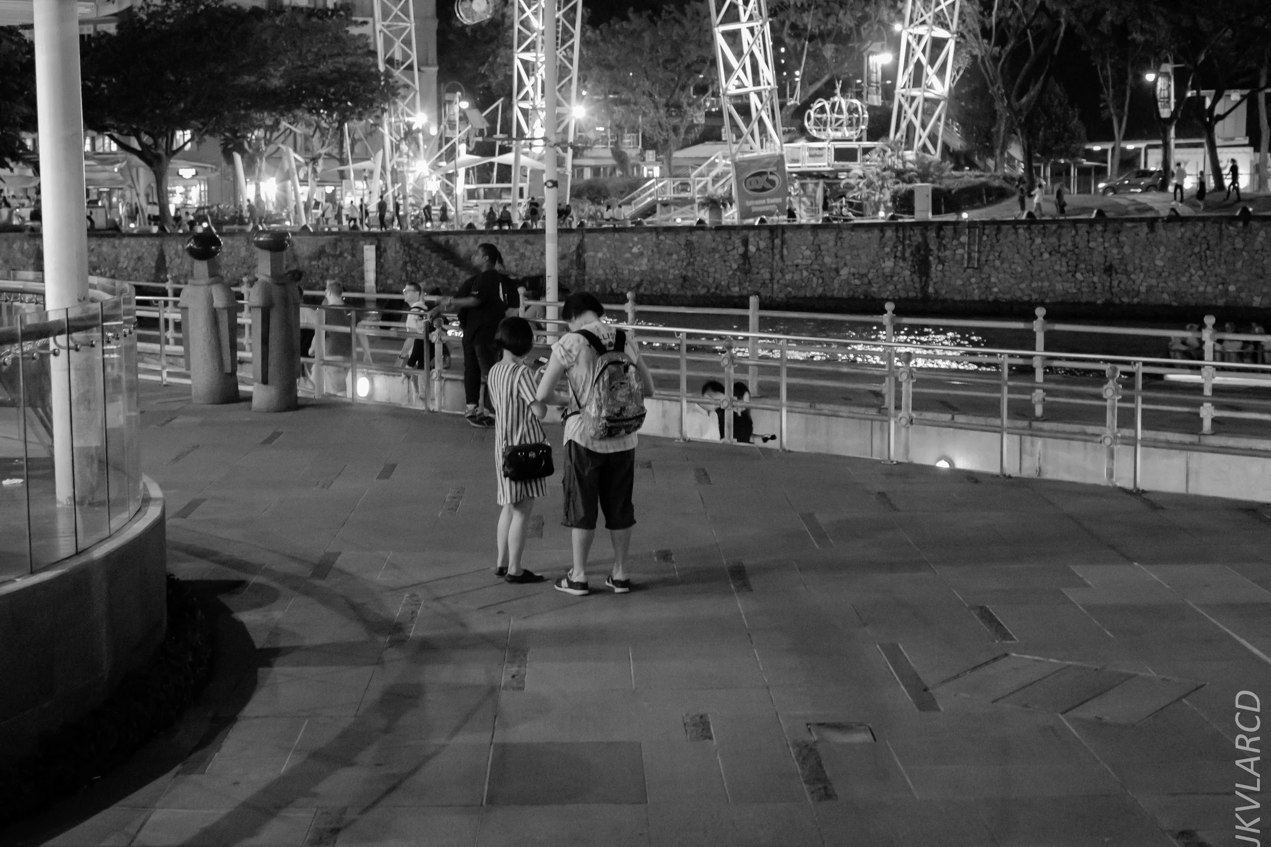 EOS 7D Mark II_2018_12_27_1309.jpg