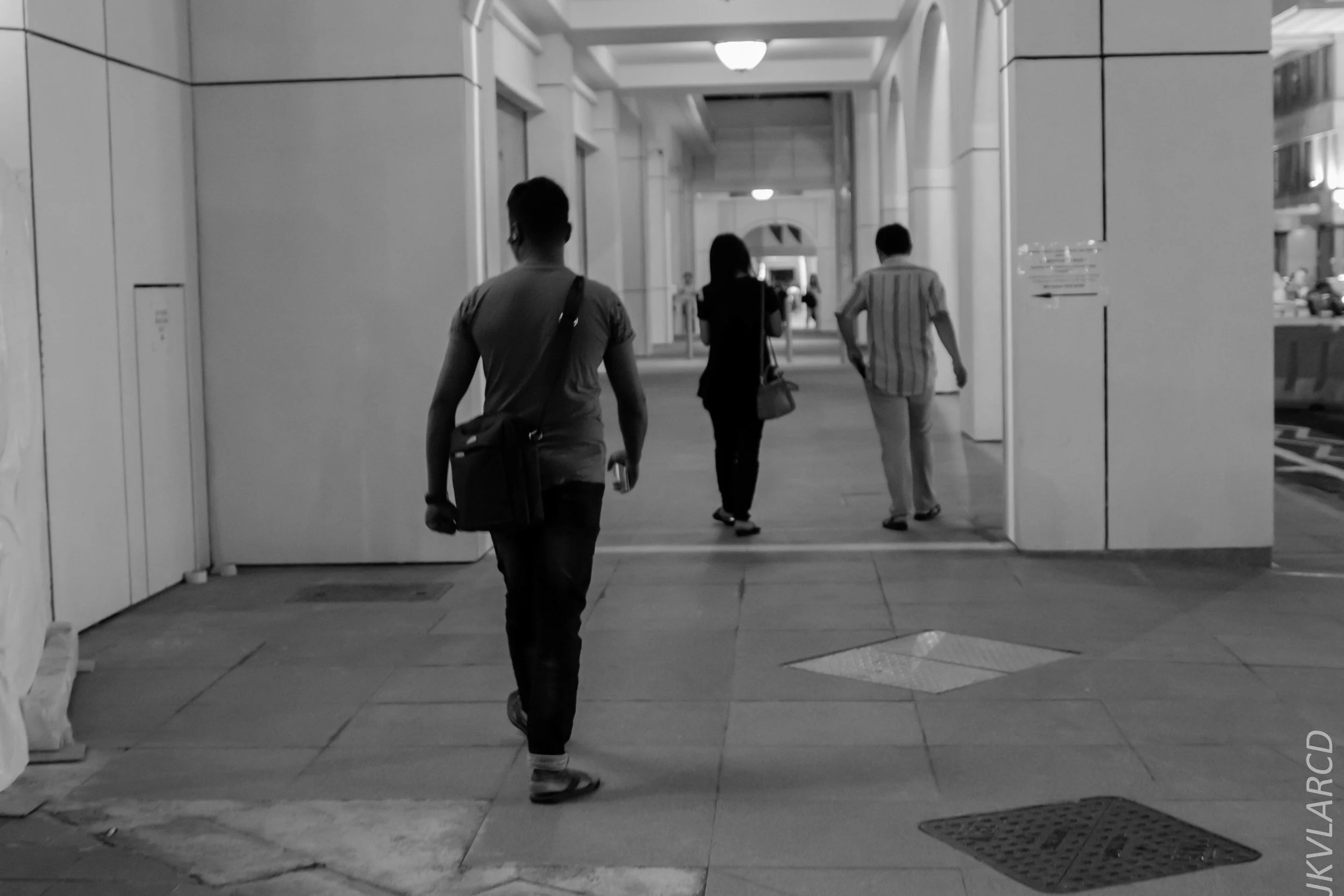 EOS 7D Mark II_2018_12_27_1320.jpg