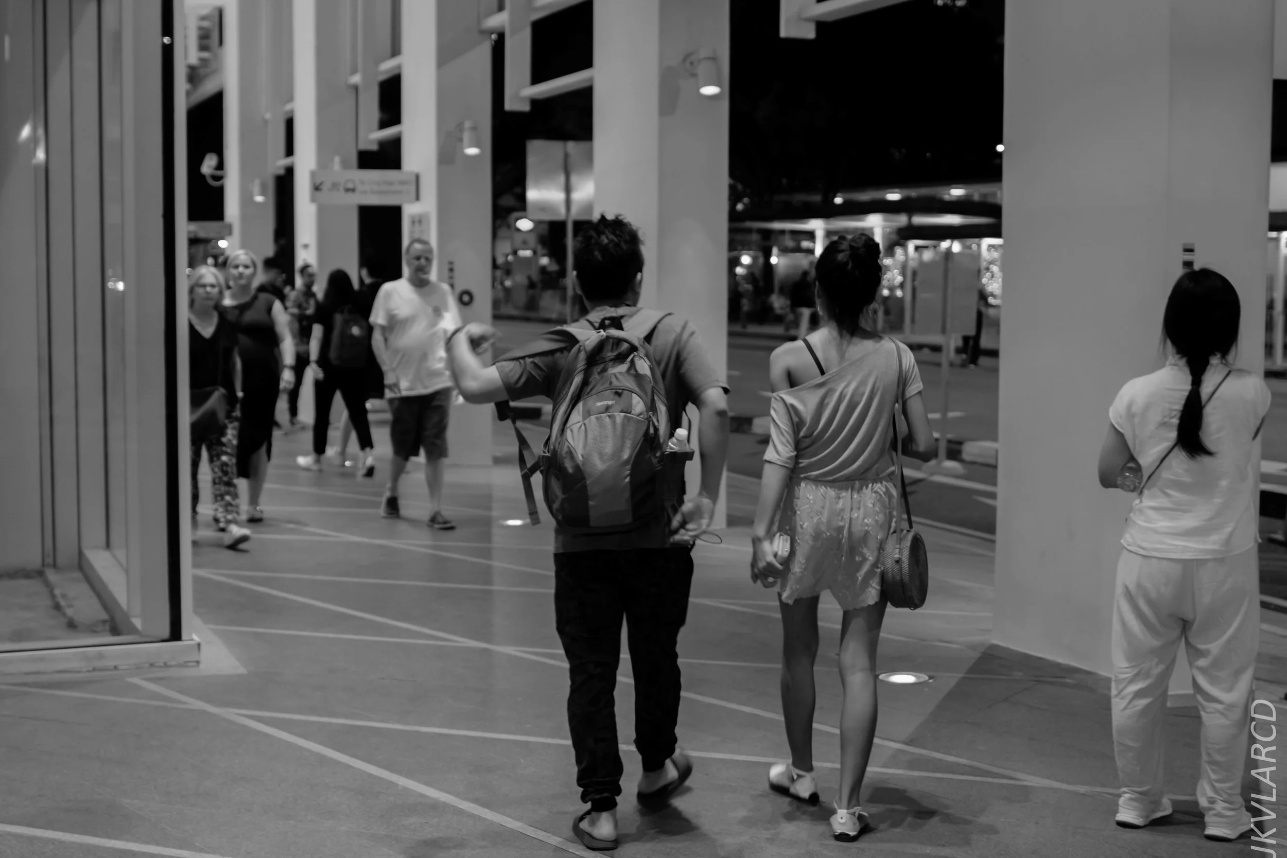 EOS 7D Mark II_2018_12_27_1335.jpg