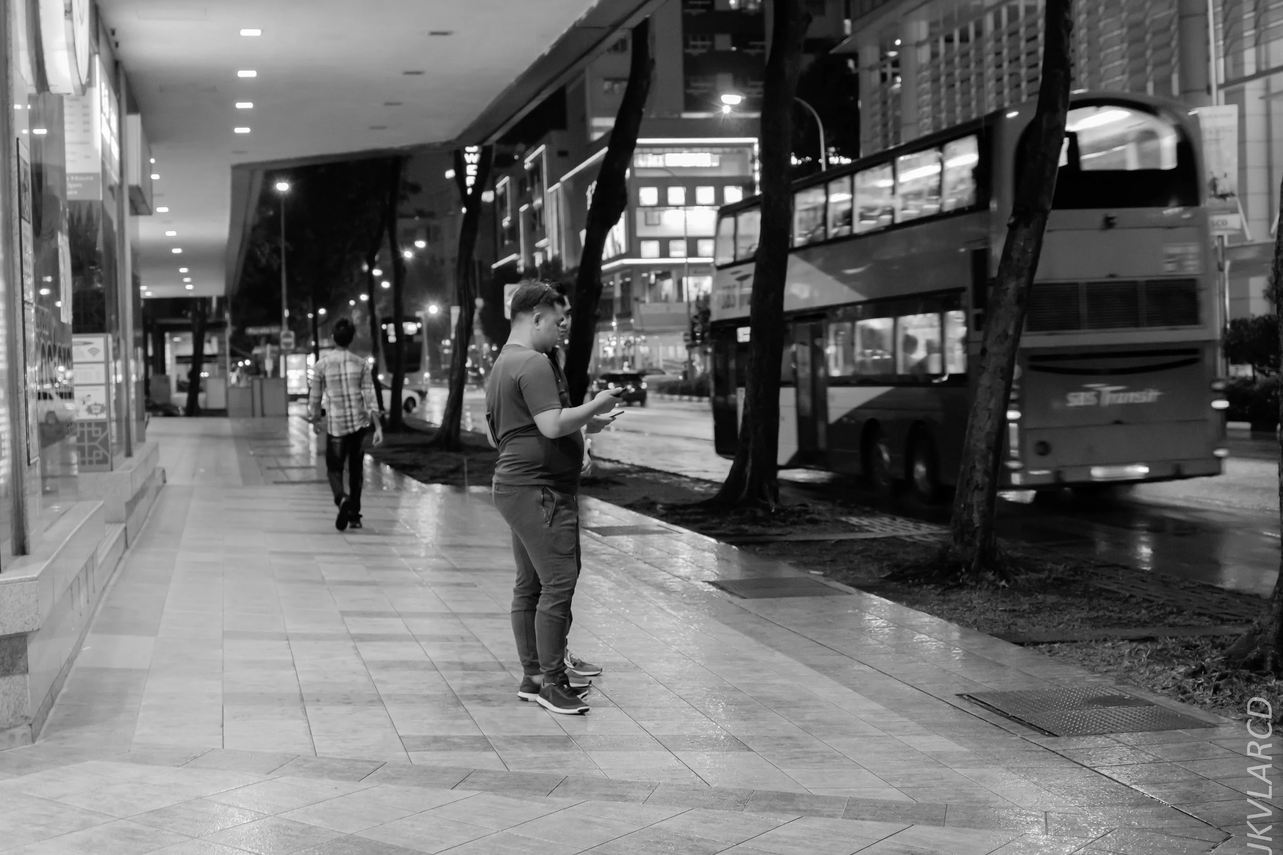 EOS 7D Mark II_2019_01_12_1349.jpg