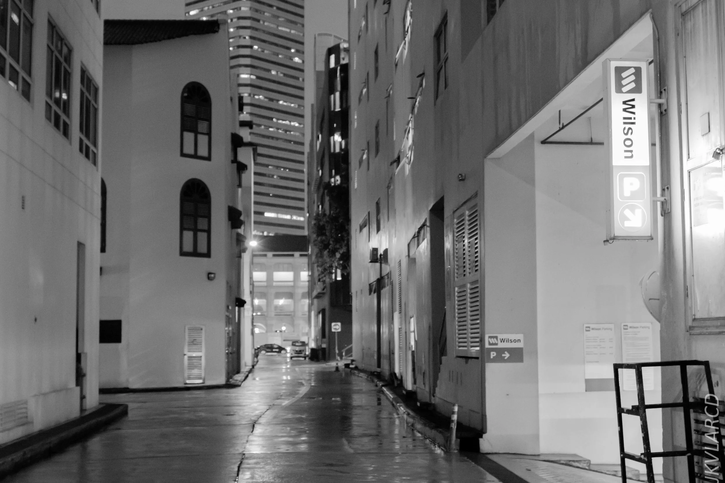 EOS 7D Mark II_2019_01_12_1350.jpg