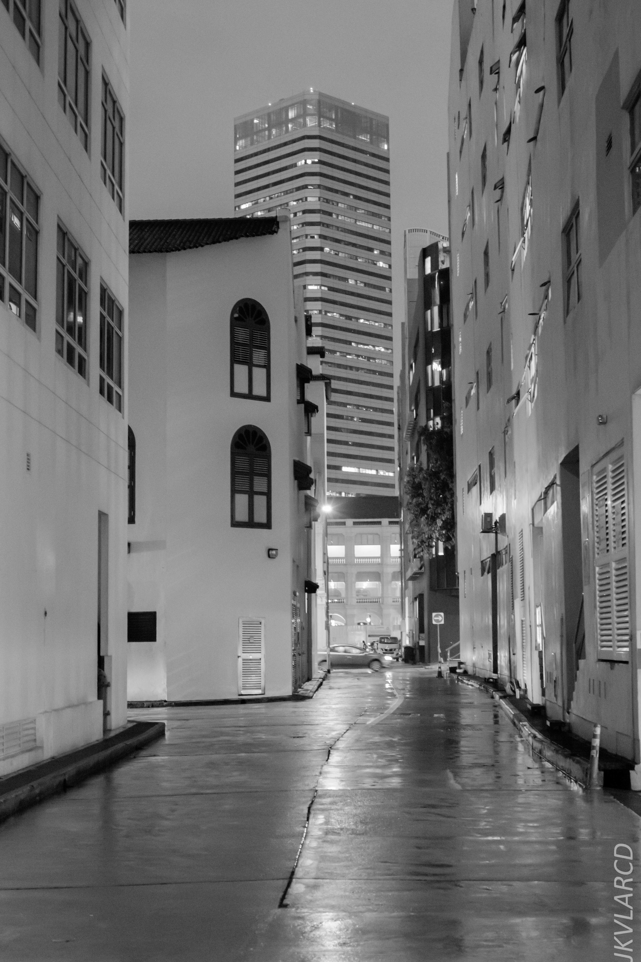 EOS 7D Mark II_2019_01_12_1351.jpg