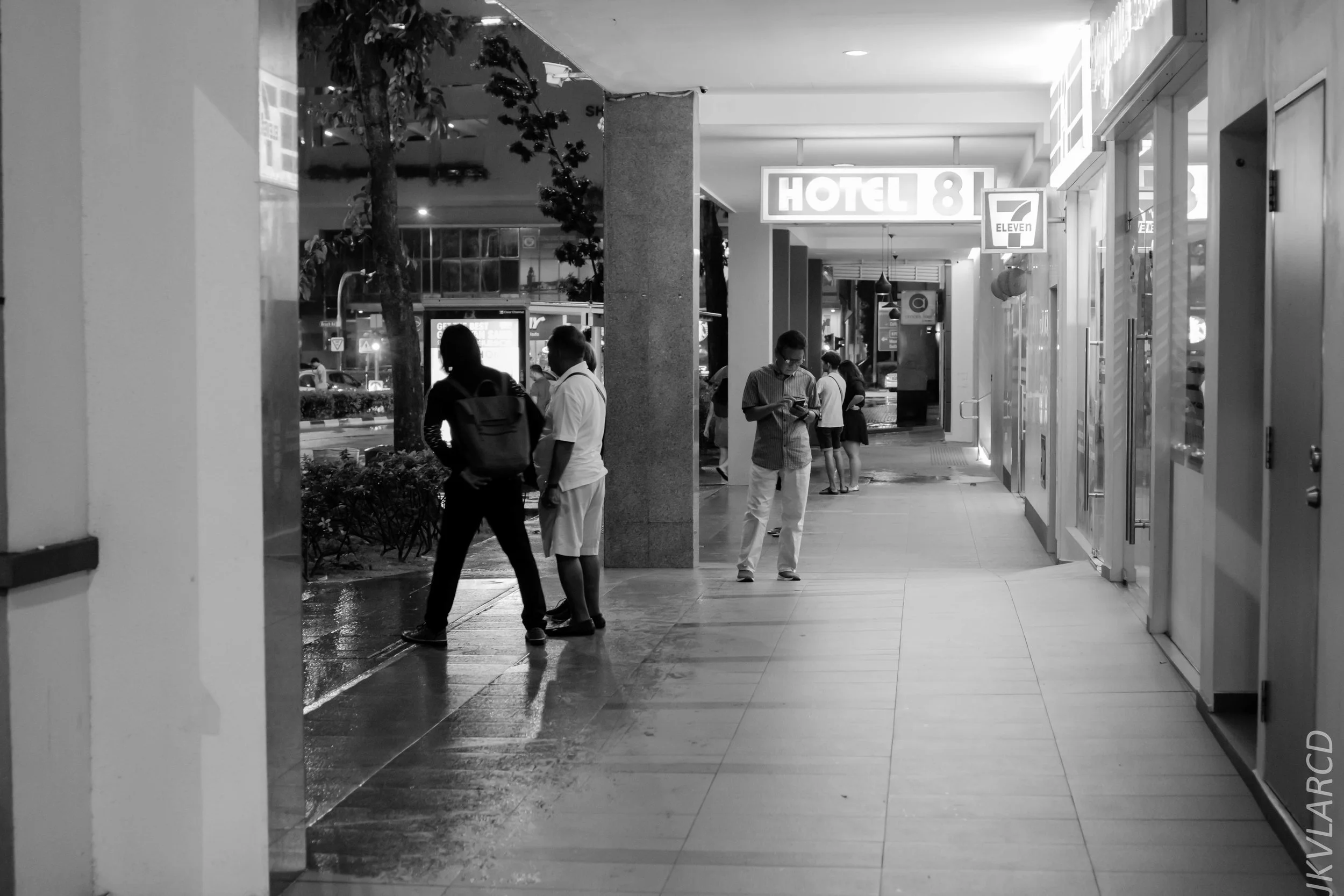 EOS 7D Mark II_2019_01_12_1353.jpg