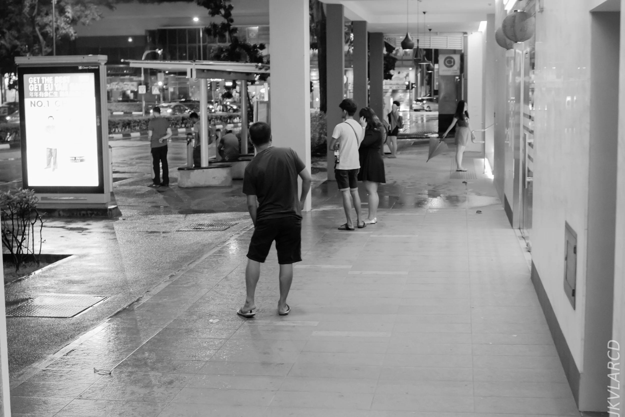 EOS 7D Mark II_2019_01_12_1354.jpg