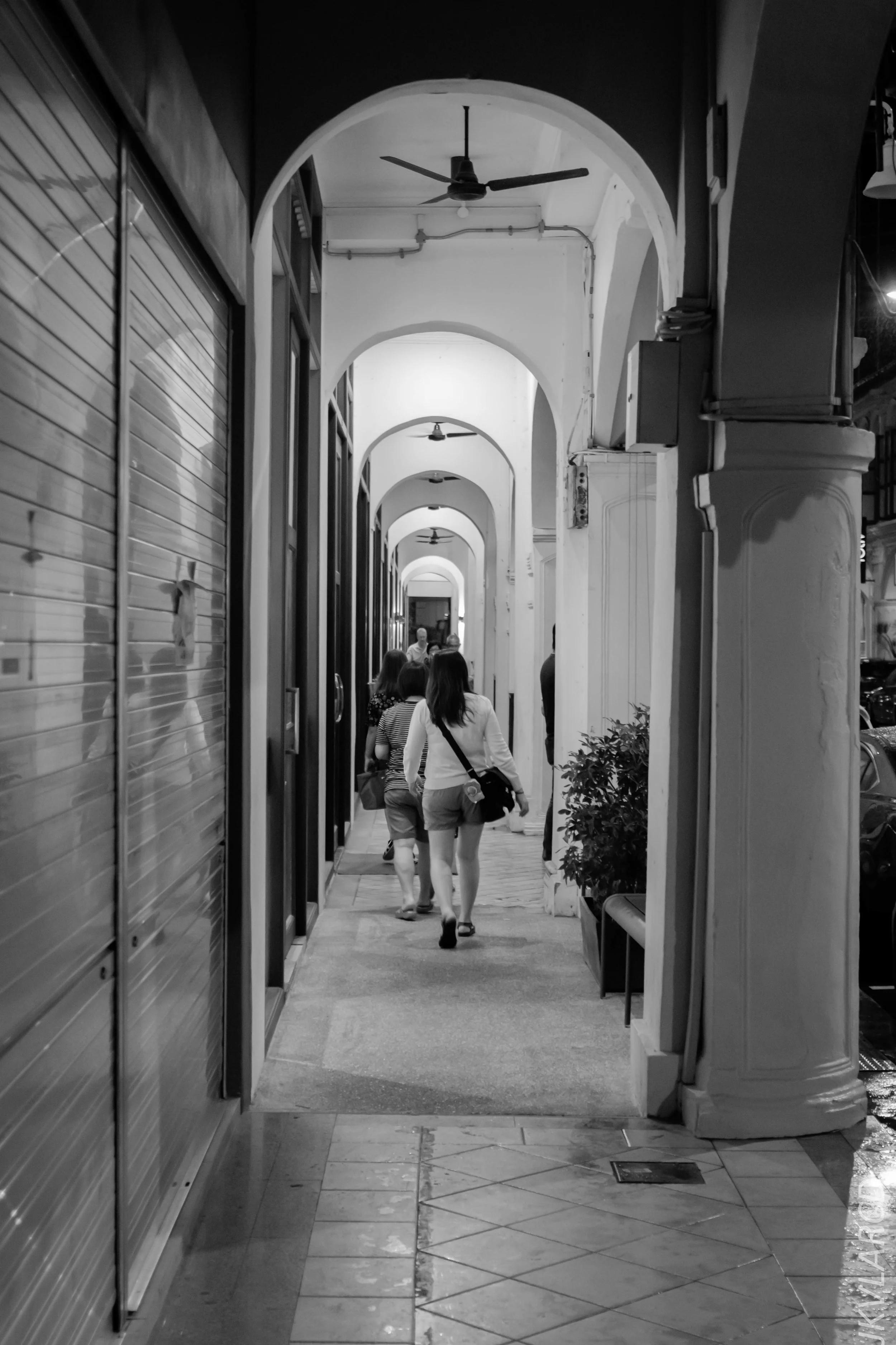 EOS 7D Mark II_2019_01_12_1363.jpg