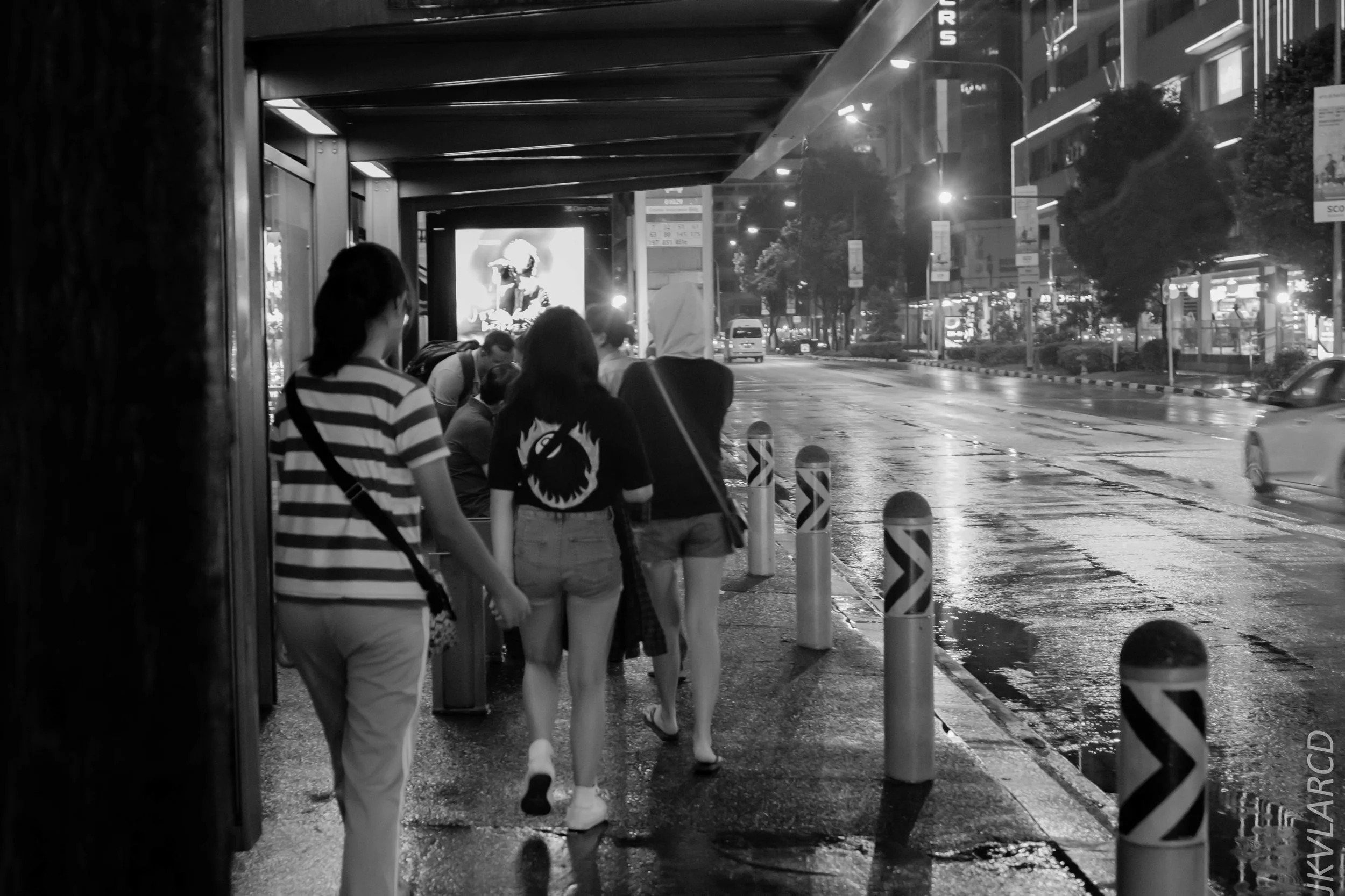 EOS 7D Mark II_2019_01_12_1369.jpg