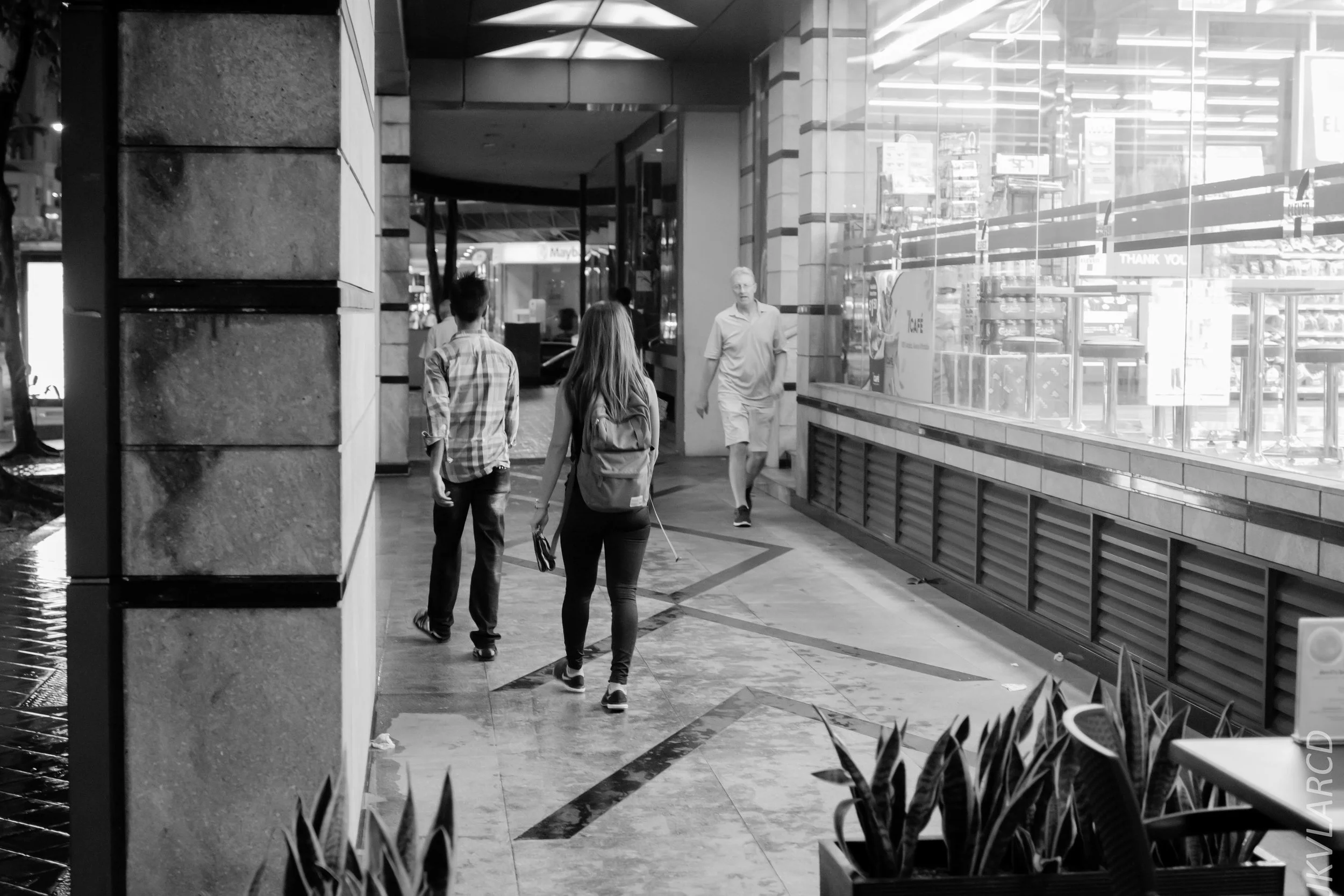 EOS 7D Mark II_2019_01_12_1371.jpg