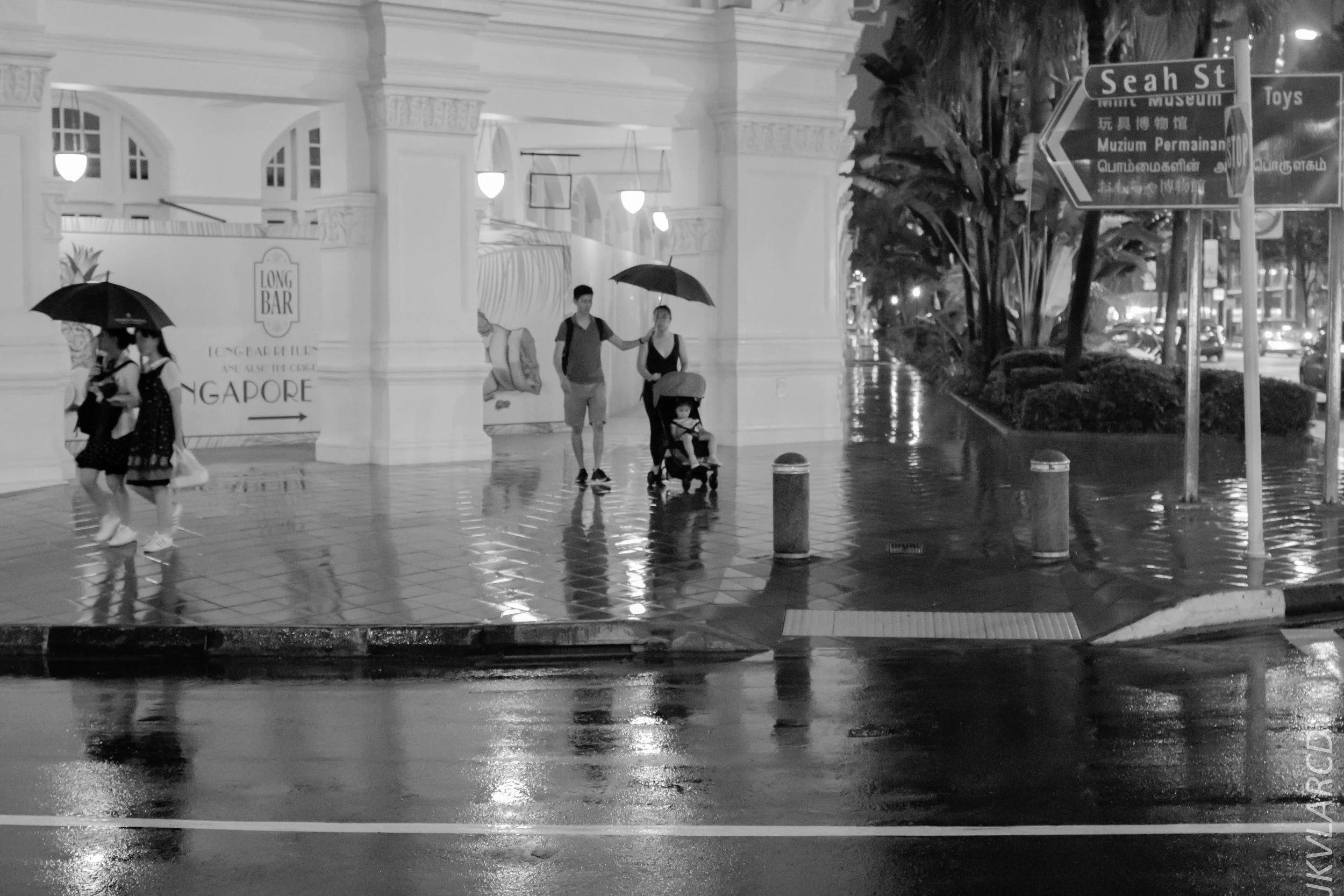 EOS 7D Mark II_2019_01_12_1374.jpg