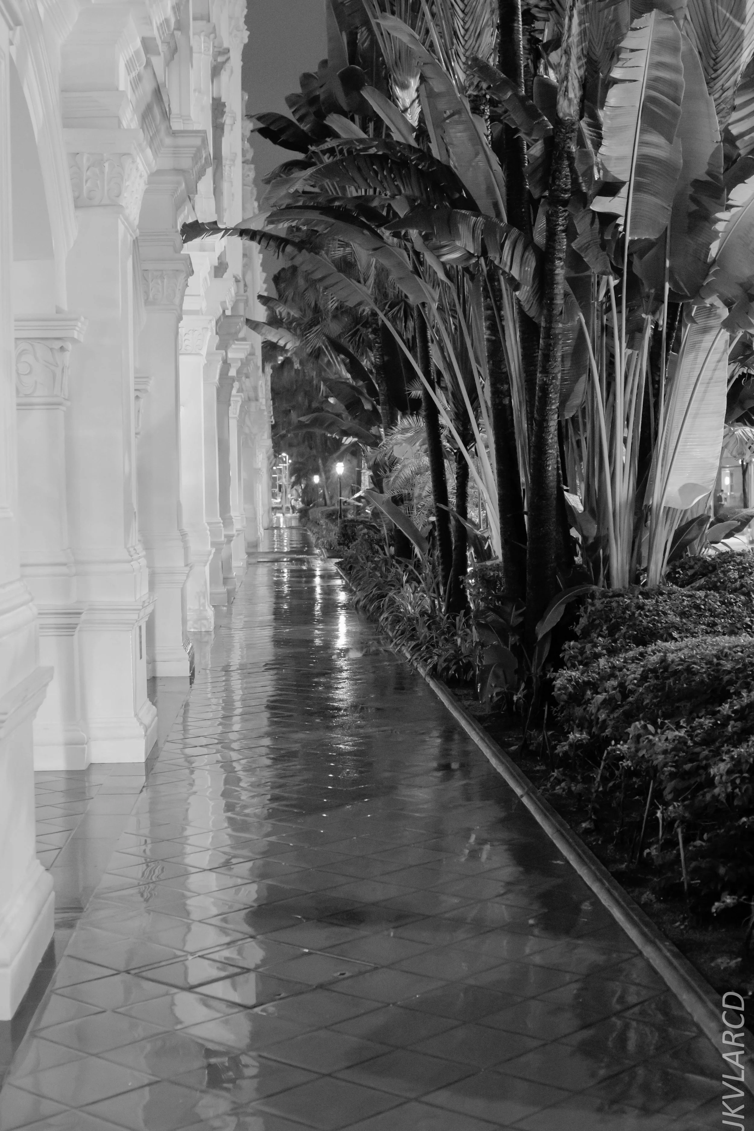 EOS 7D Mark II_2019_01_12_1376.jpg