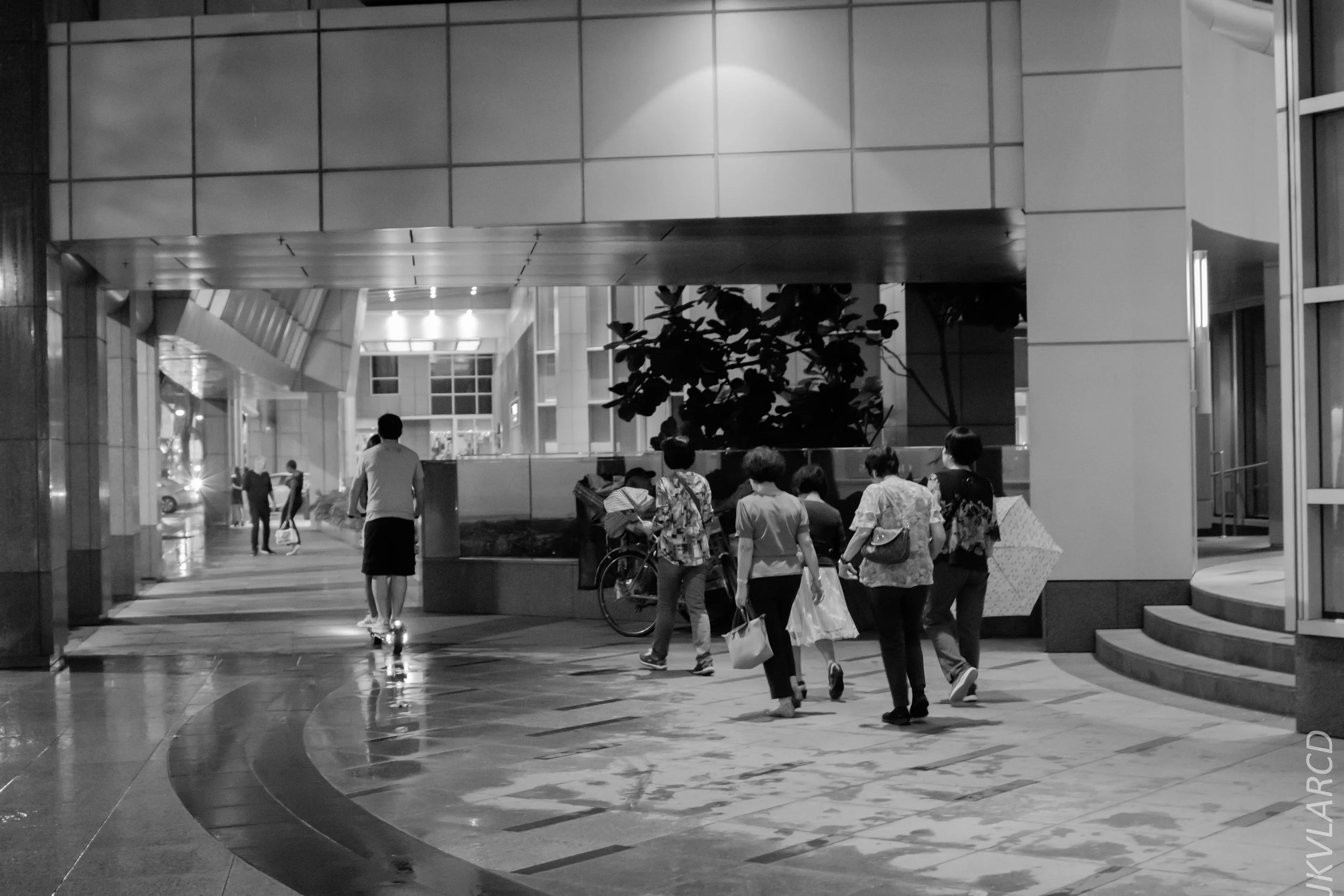 EOS 7D Mark II_2019_01_12_1382.jpg