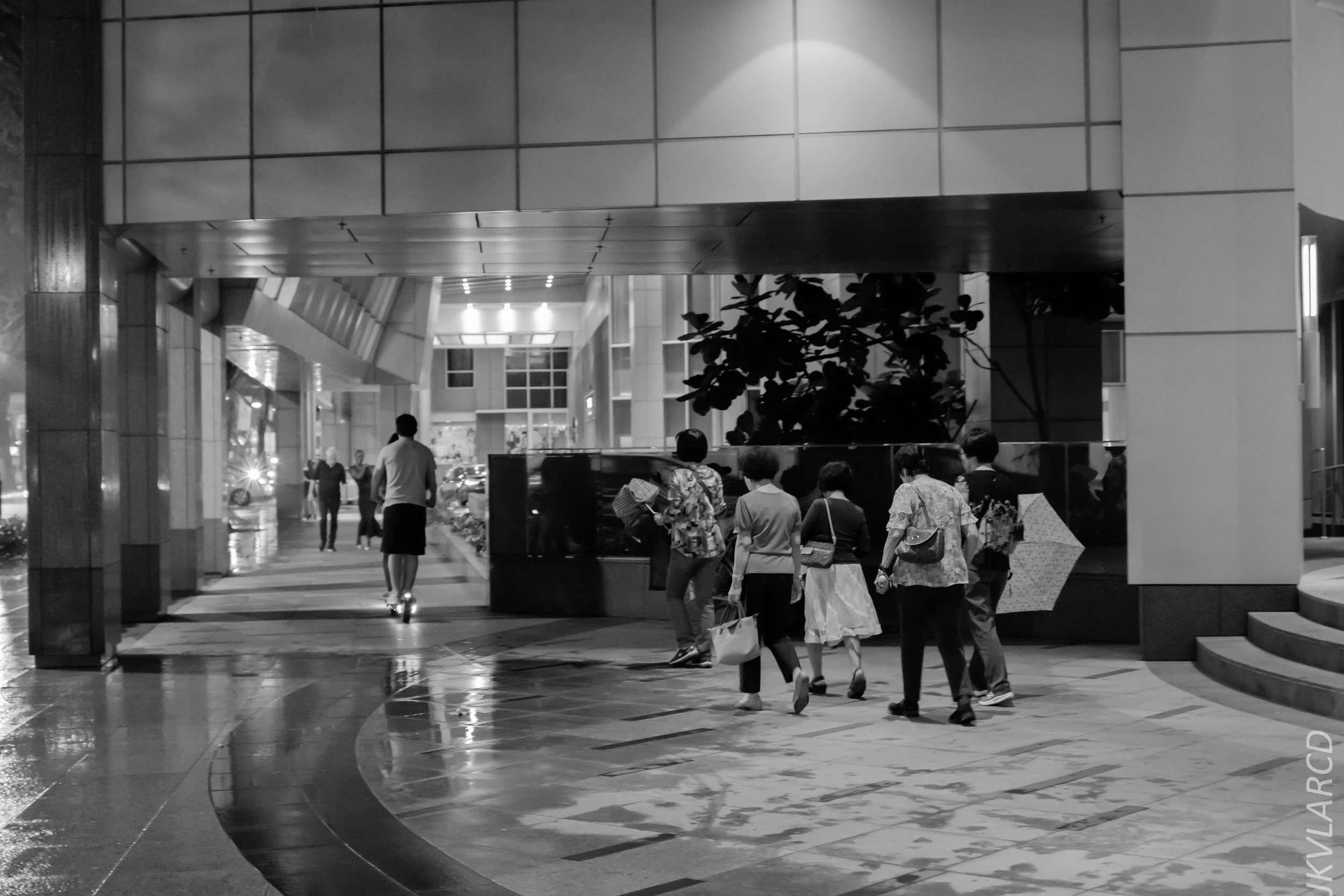 EOS 7D Mark II_2019_01_12_1383.jpg