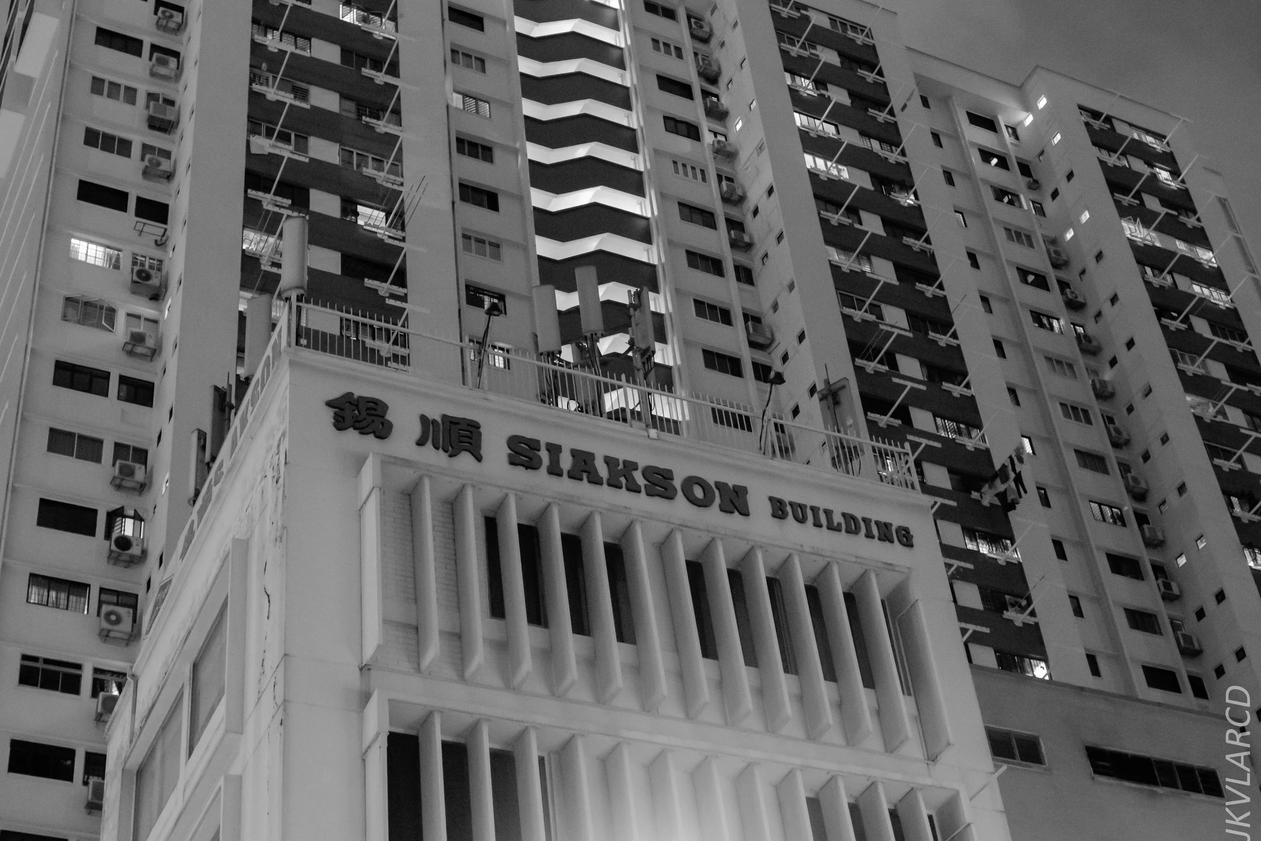 EOS 7D Mark II_2019_01_12_1388.jpg