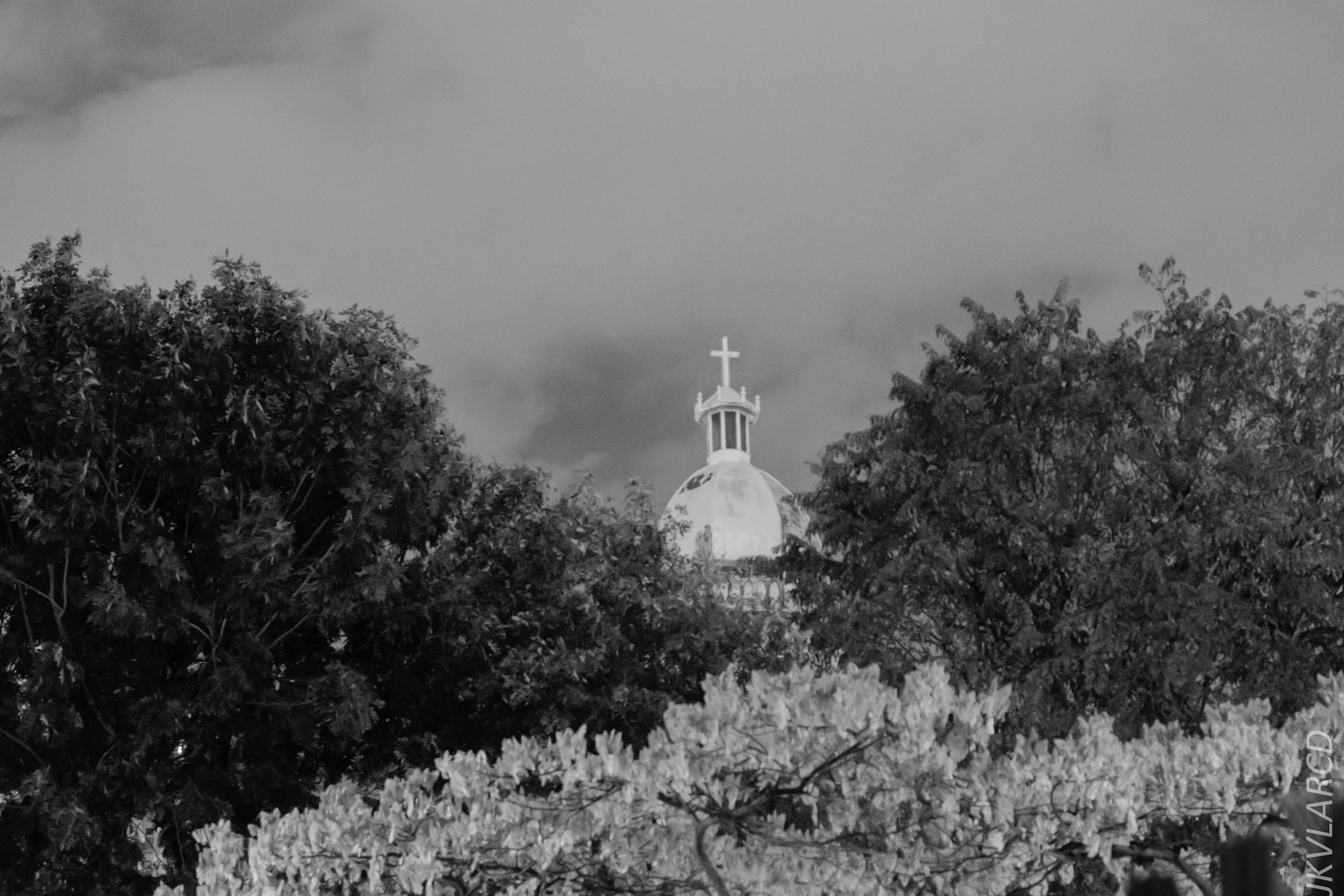 EOS 7D Mark II_2019_01_12_1390.jpg