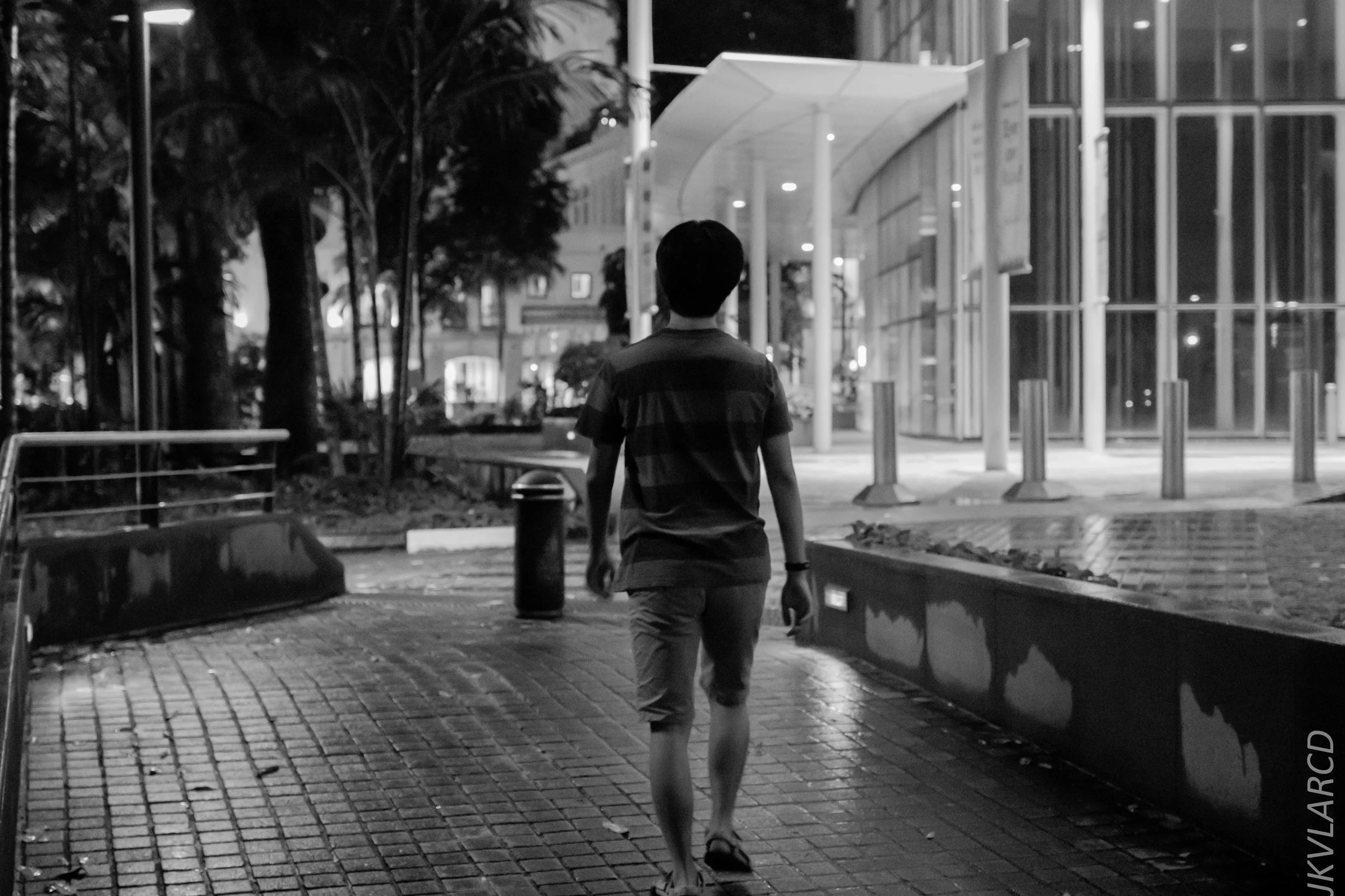 EOS 7D Mark II_2019_01_12_1391.jpg