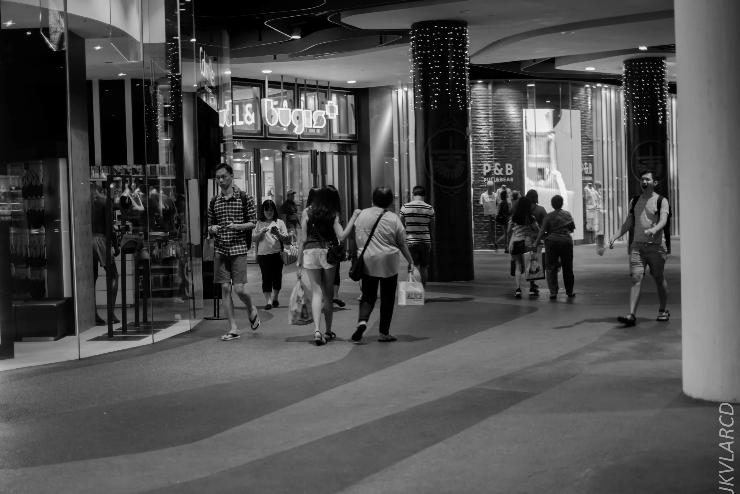 EOS 7D Mark II_2019_01_12_1402.jpg