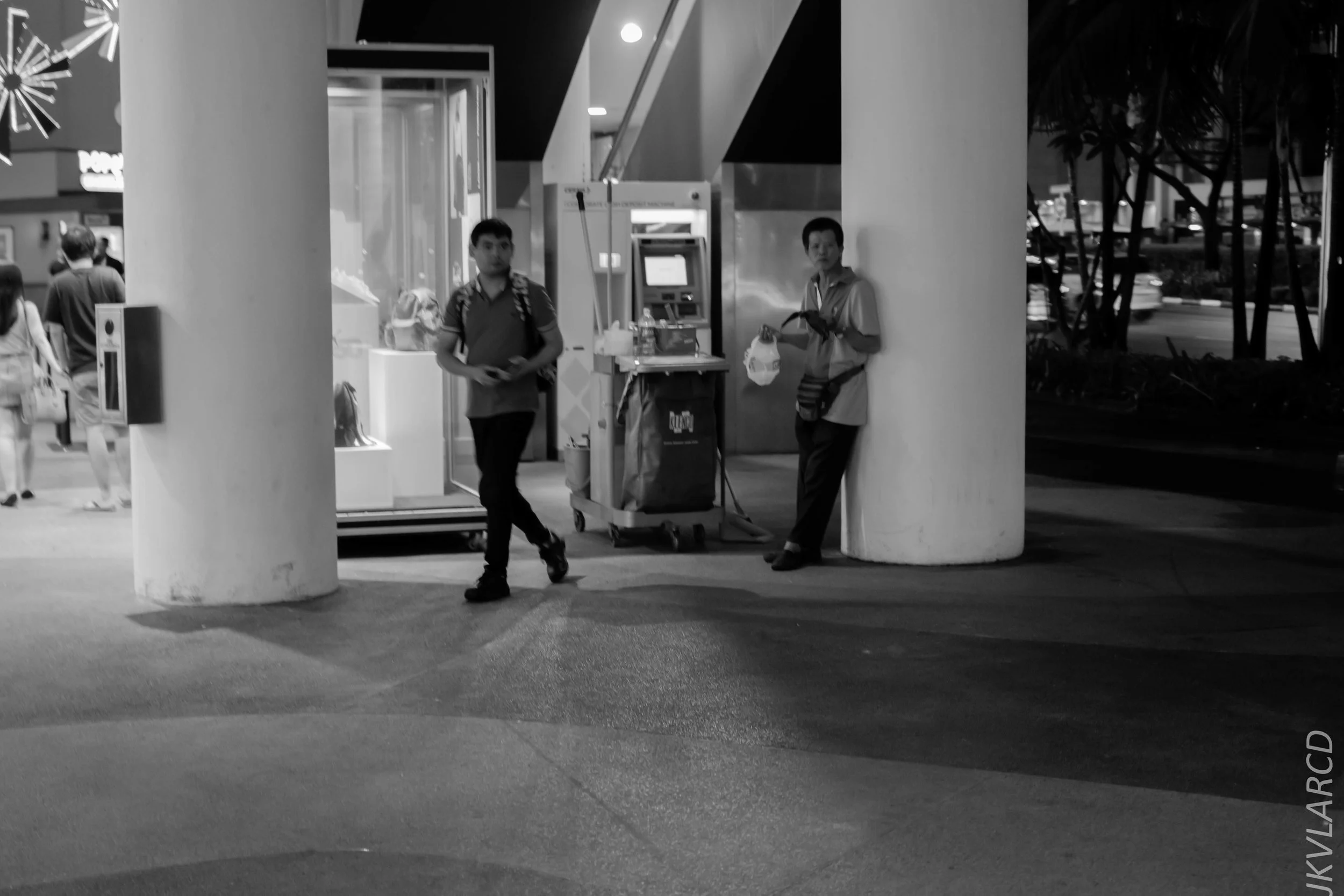 EOS 7D Mark II_2019_01_12_1403.jpg