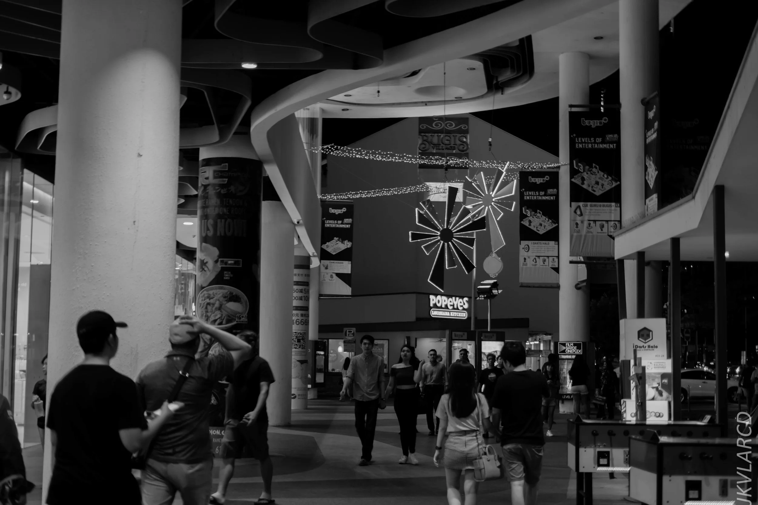 EOS 7D Mark II_2019_01_12_1405.jpg