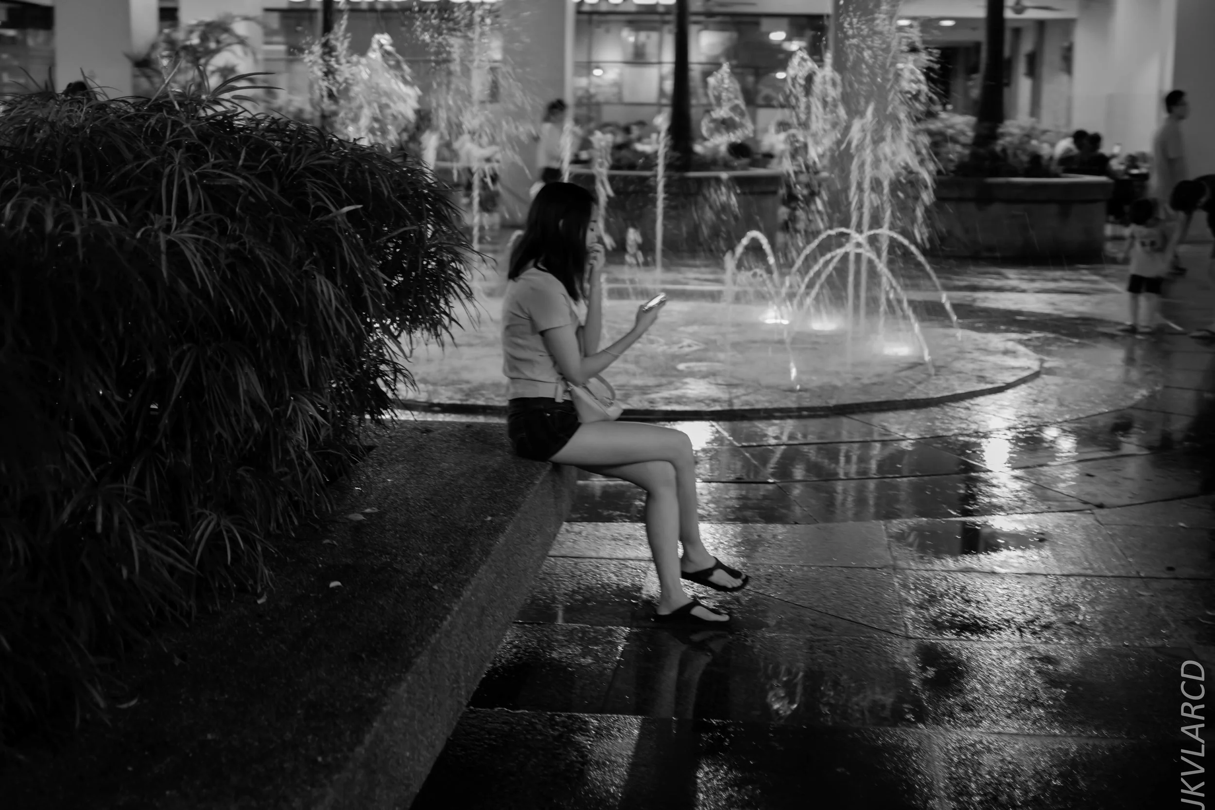 EOS 7D Mark II_2019_01_12_1411.jpg