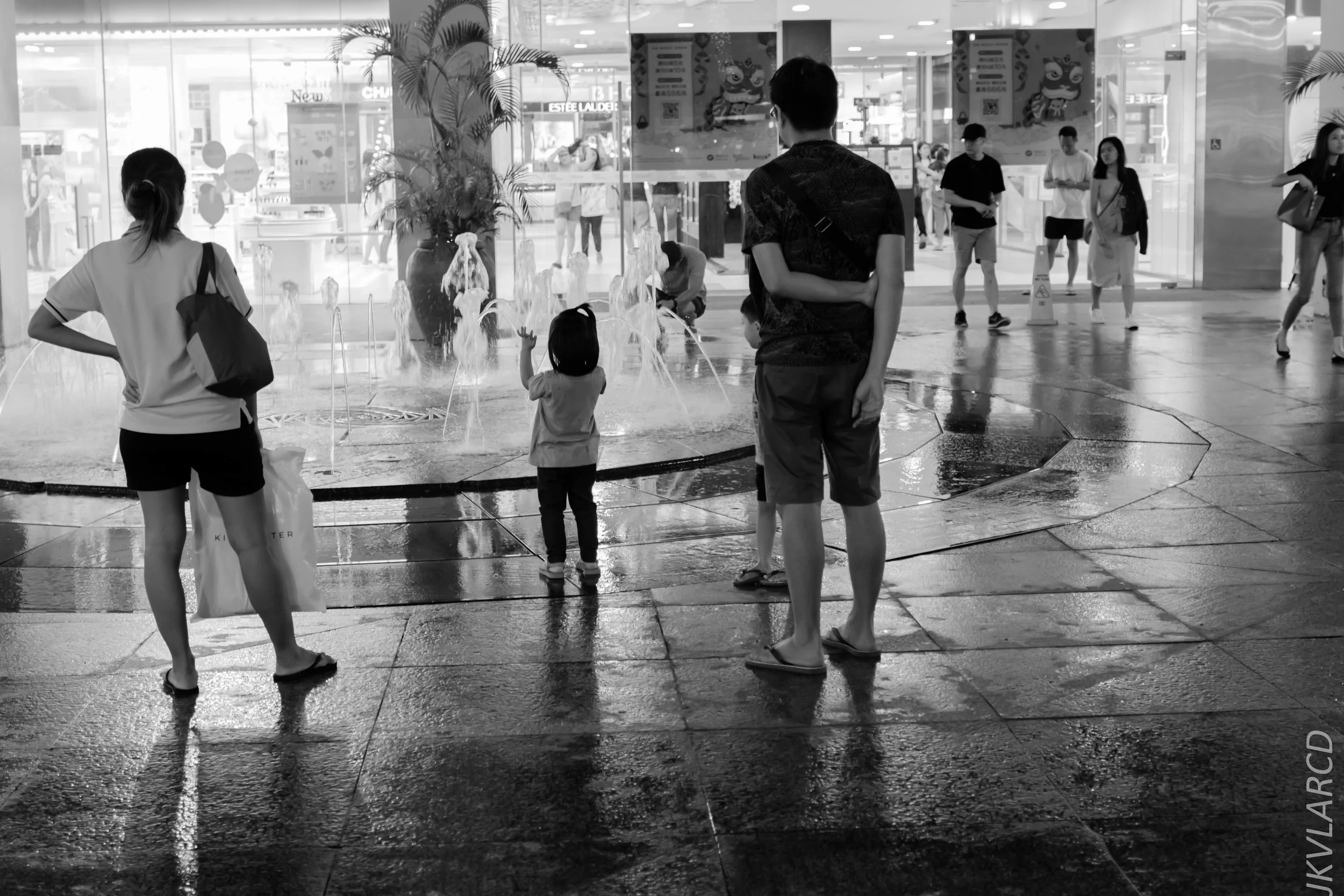 EOS 7D Mark II_2019_01_12_1417.jpg