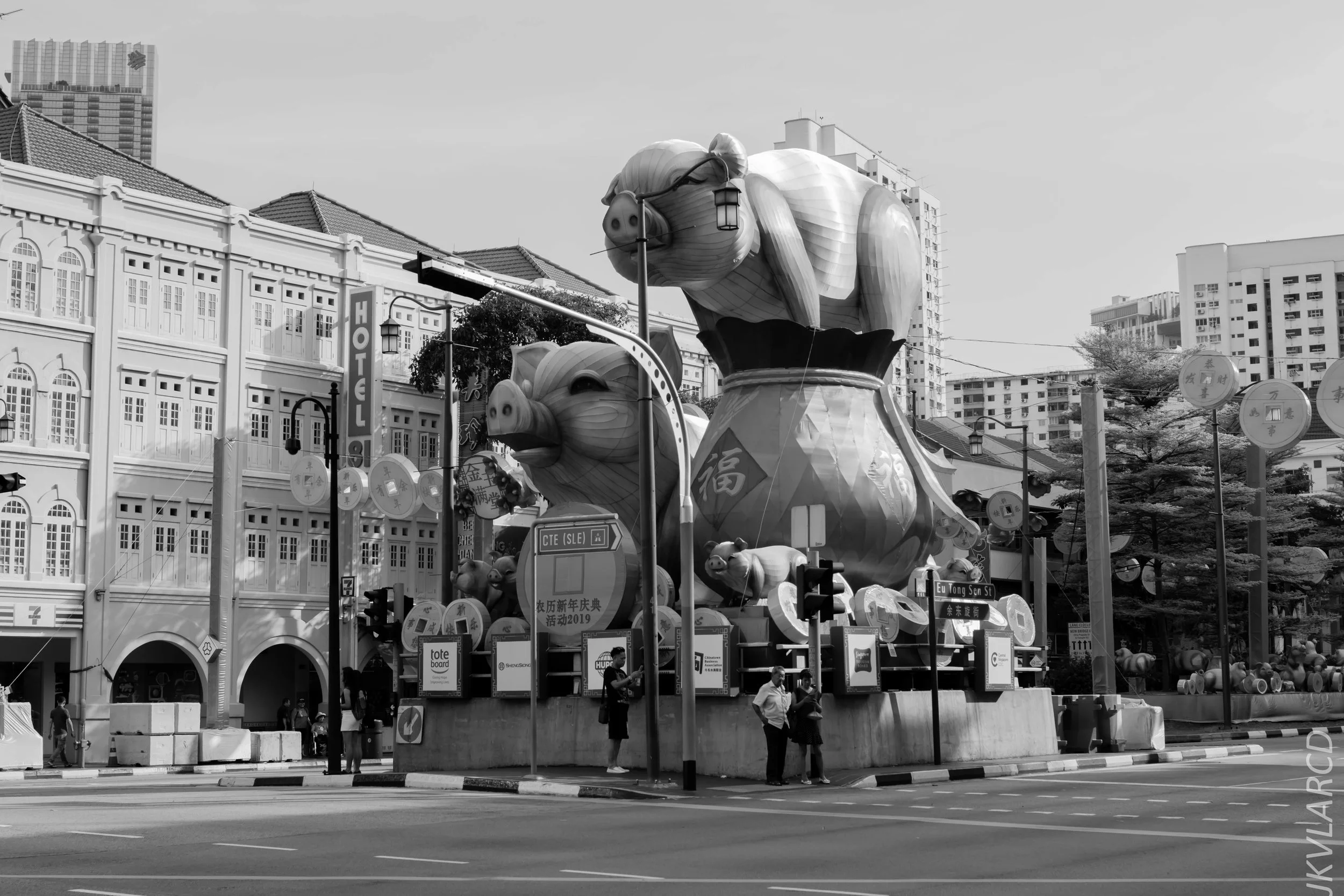 EOS 7D Mark II_2019_02_06_1433.jpg