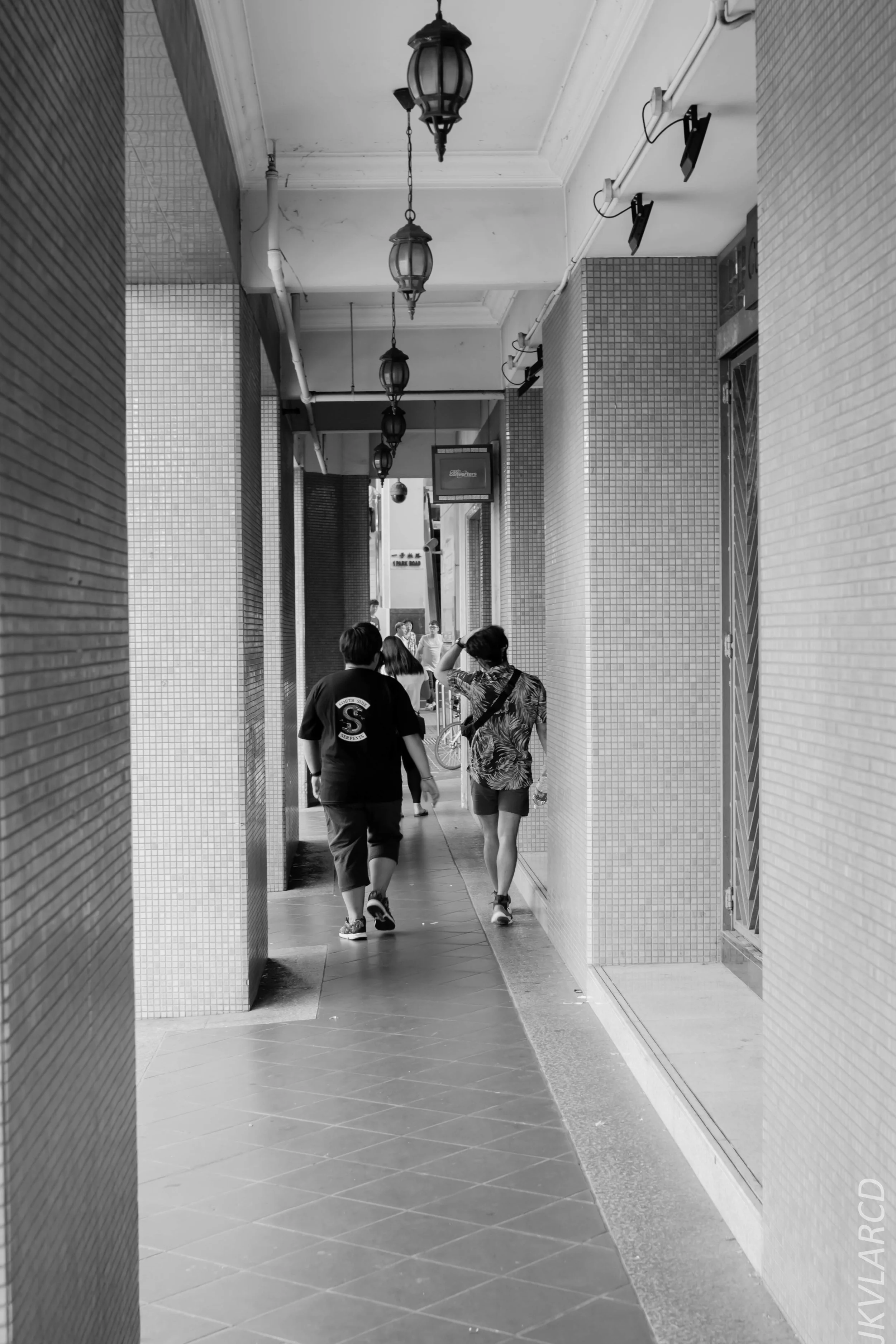 EOS 7D Mark II_2019_02_06_1436.jpg