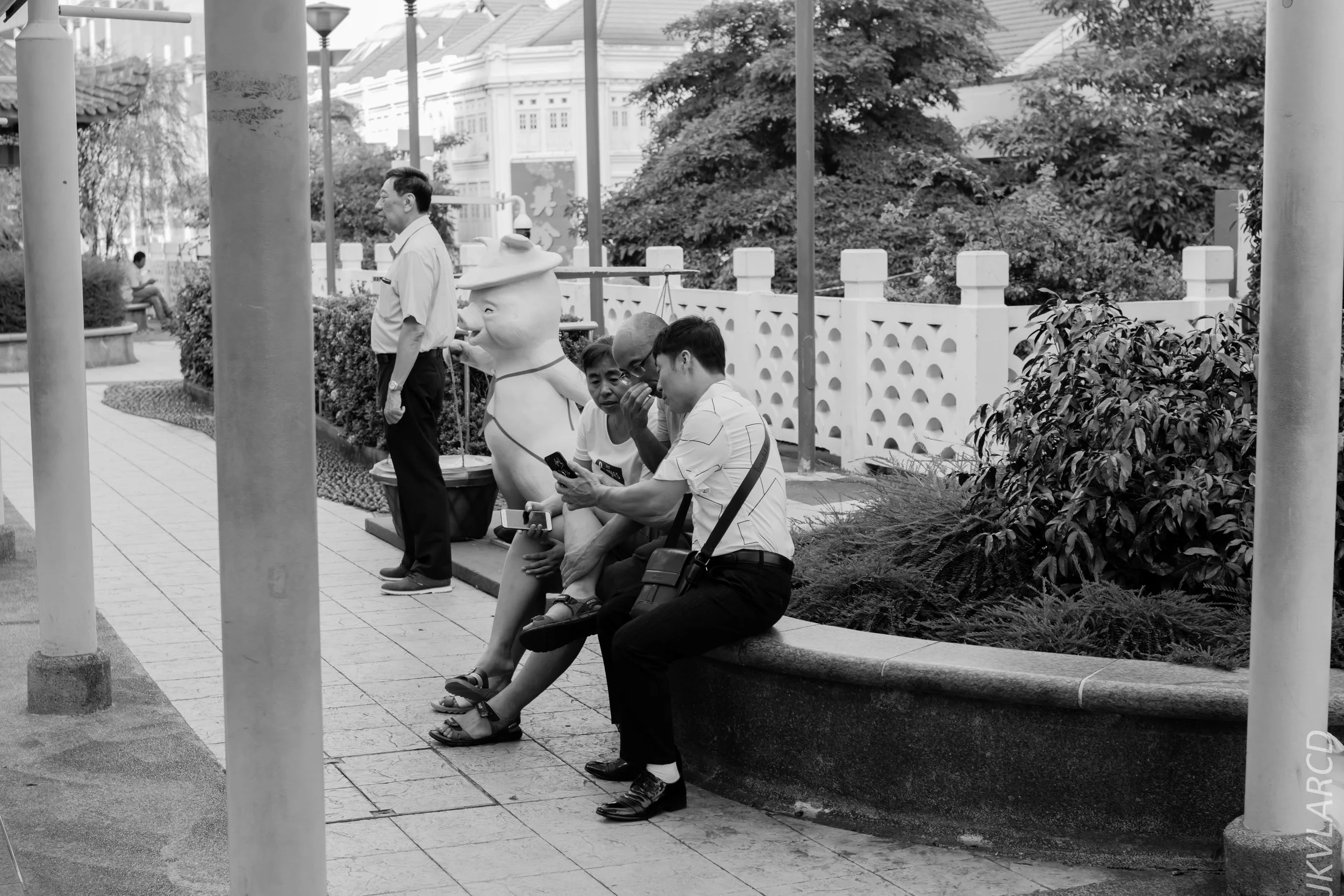 EOS 7D Mark II_2019_02_06_1438.jpg