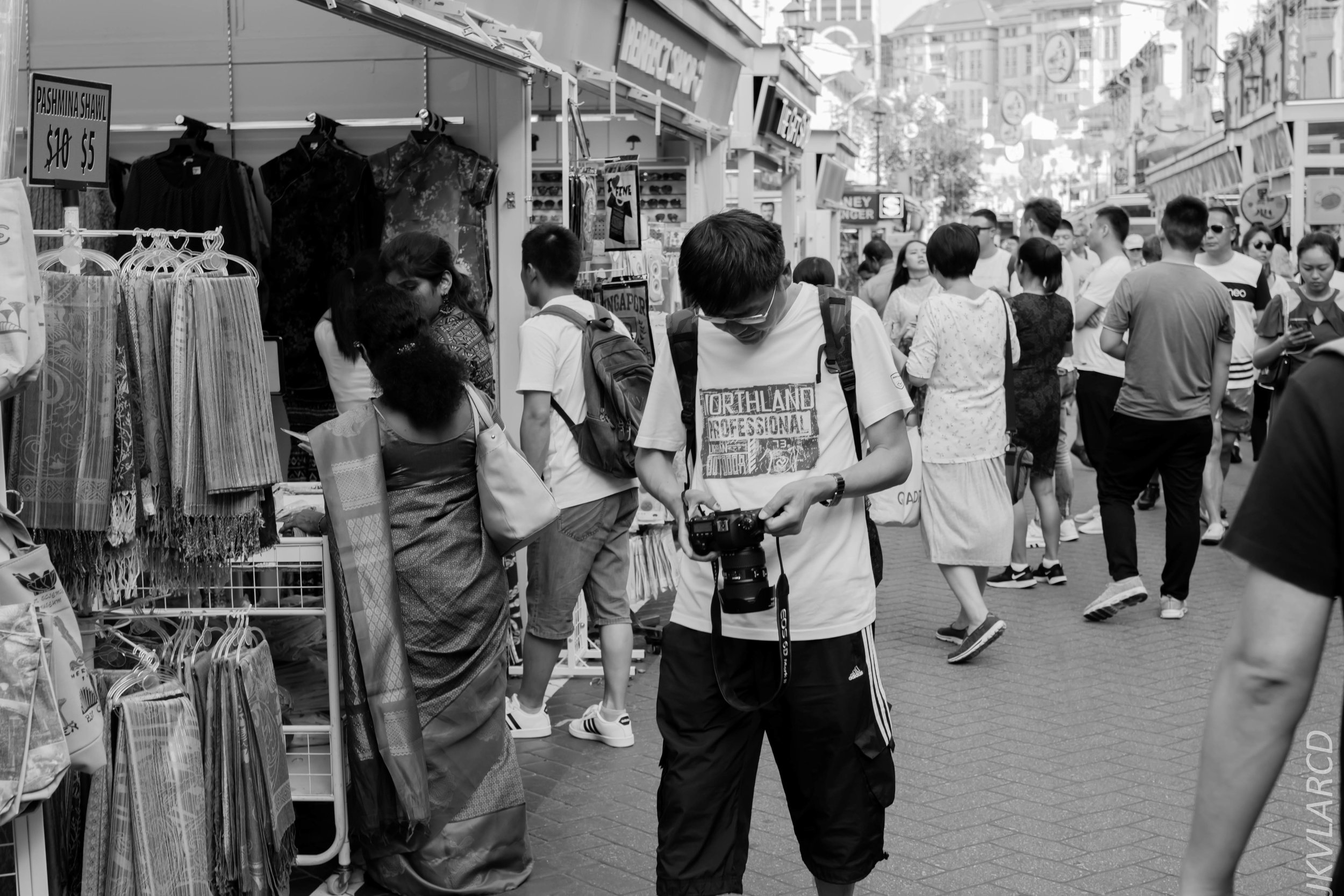 EOS 7D Mark II_2019_02_06_1445.jpg