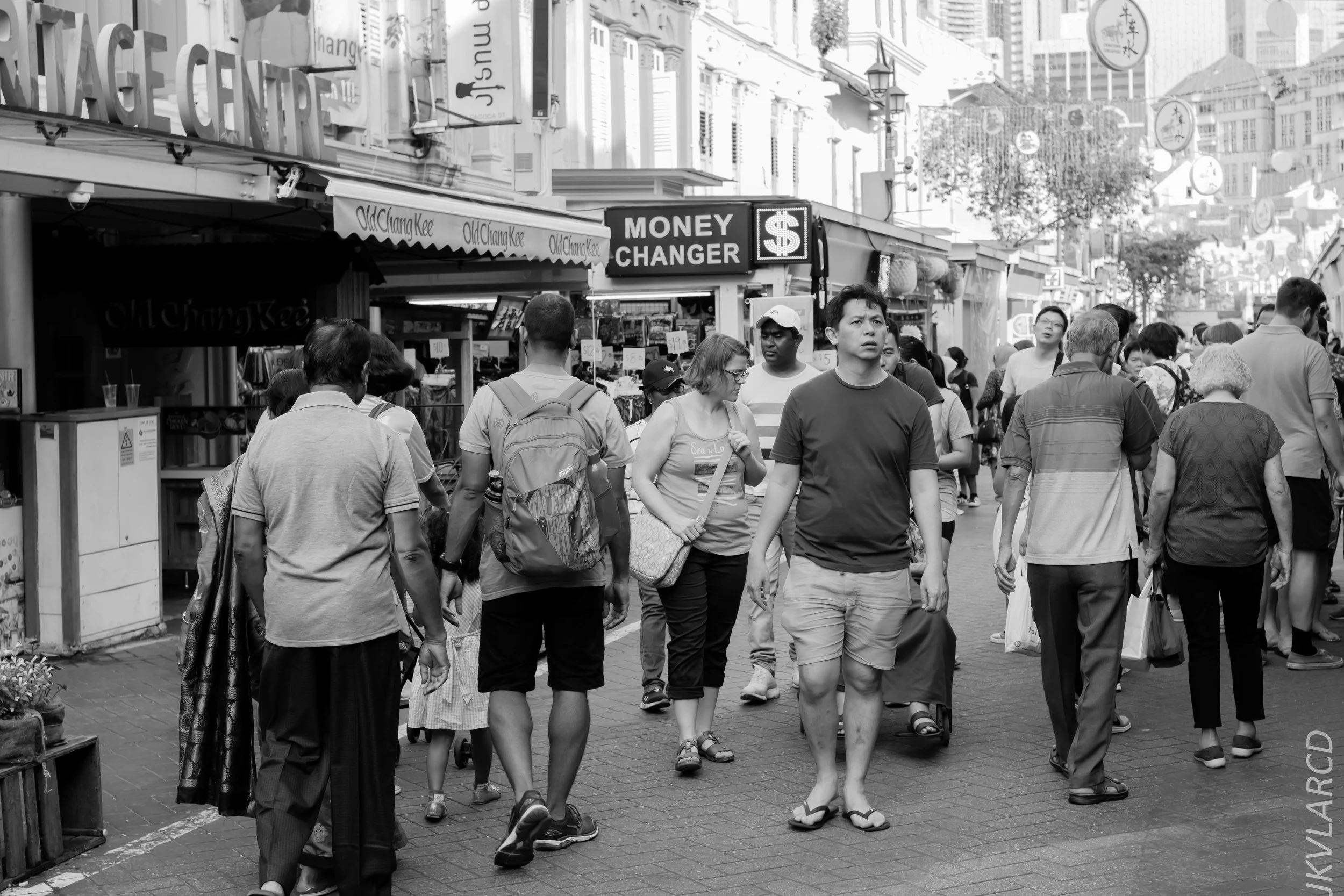 EOS 7D Mark II_2019_02_06_1447.jpg