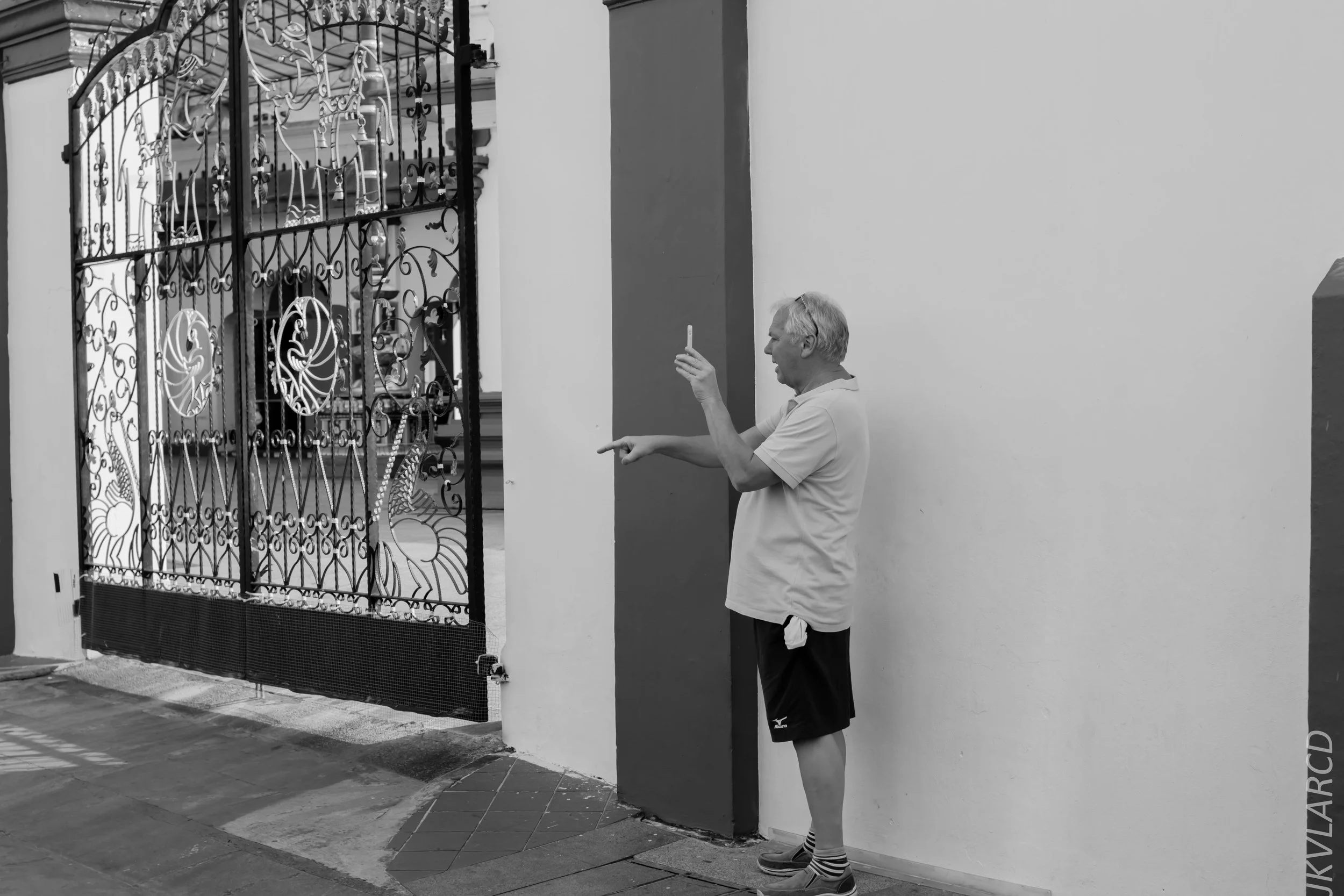 EOS 7D Mark II_2019_02_06_1457.jpg