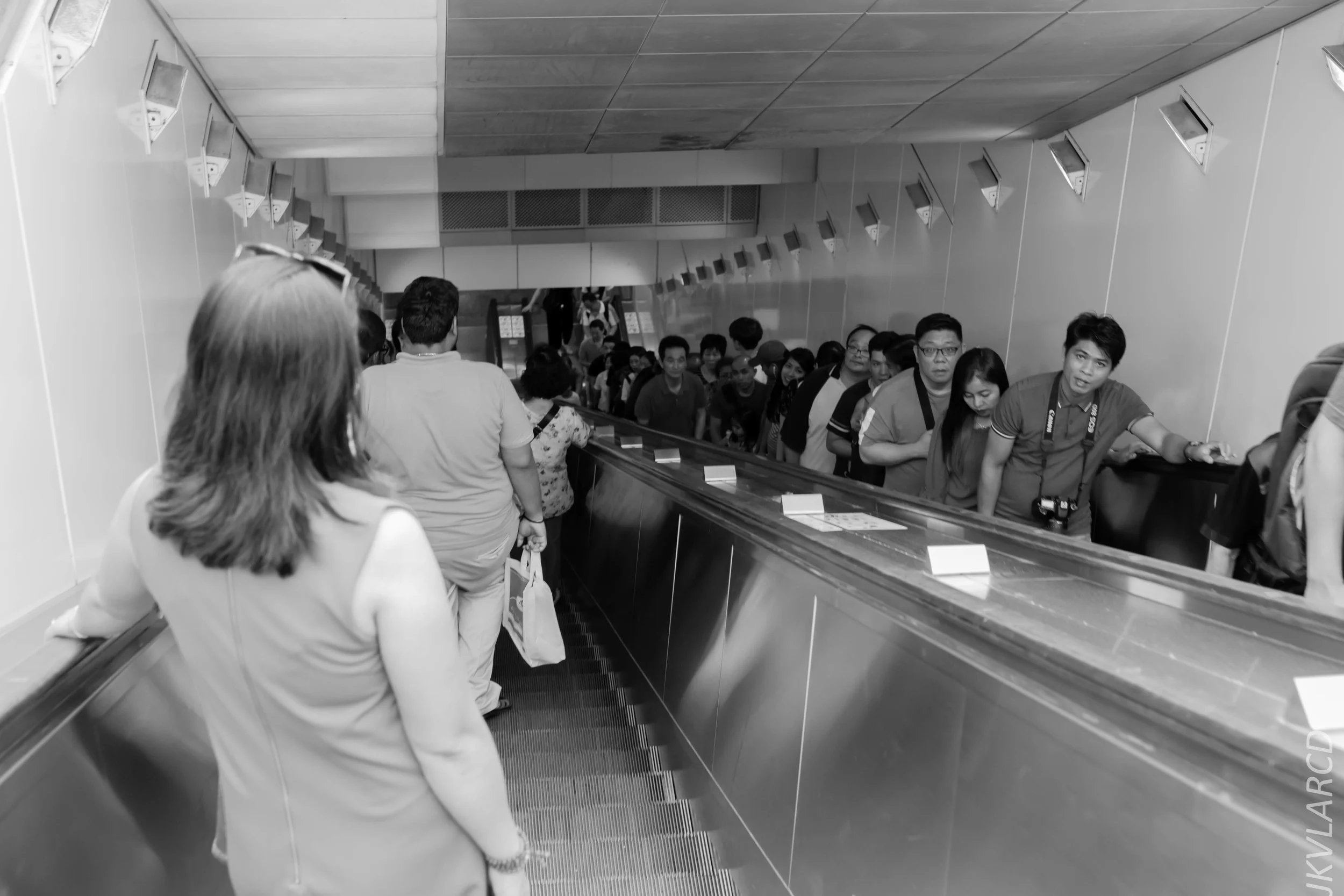 EOS 7D Mark II_2019_02_06_1479.jpg