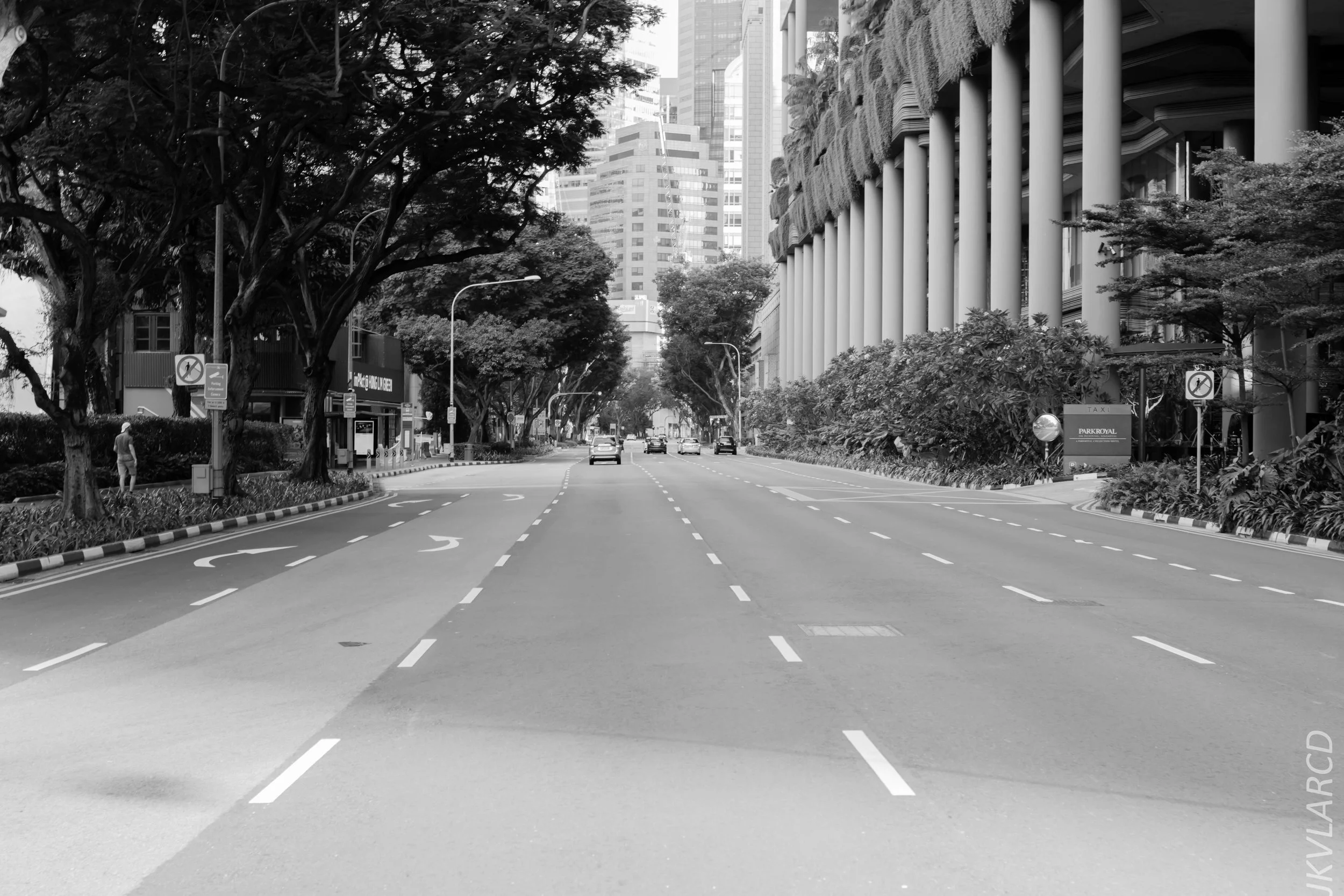 EOS 7D Mark II_2019_02_06_1485.jpg