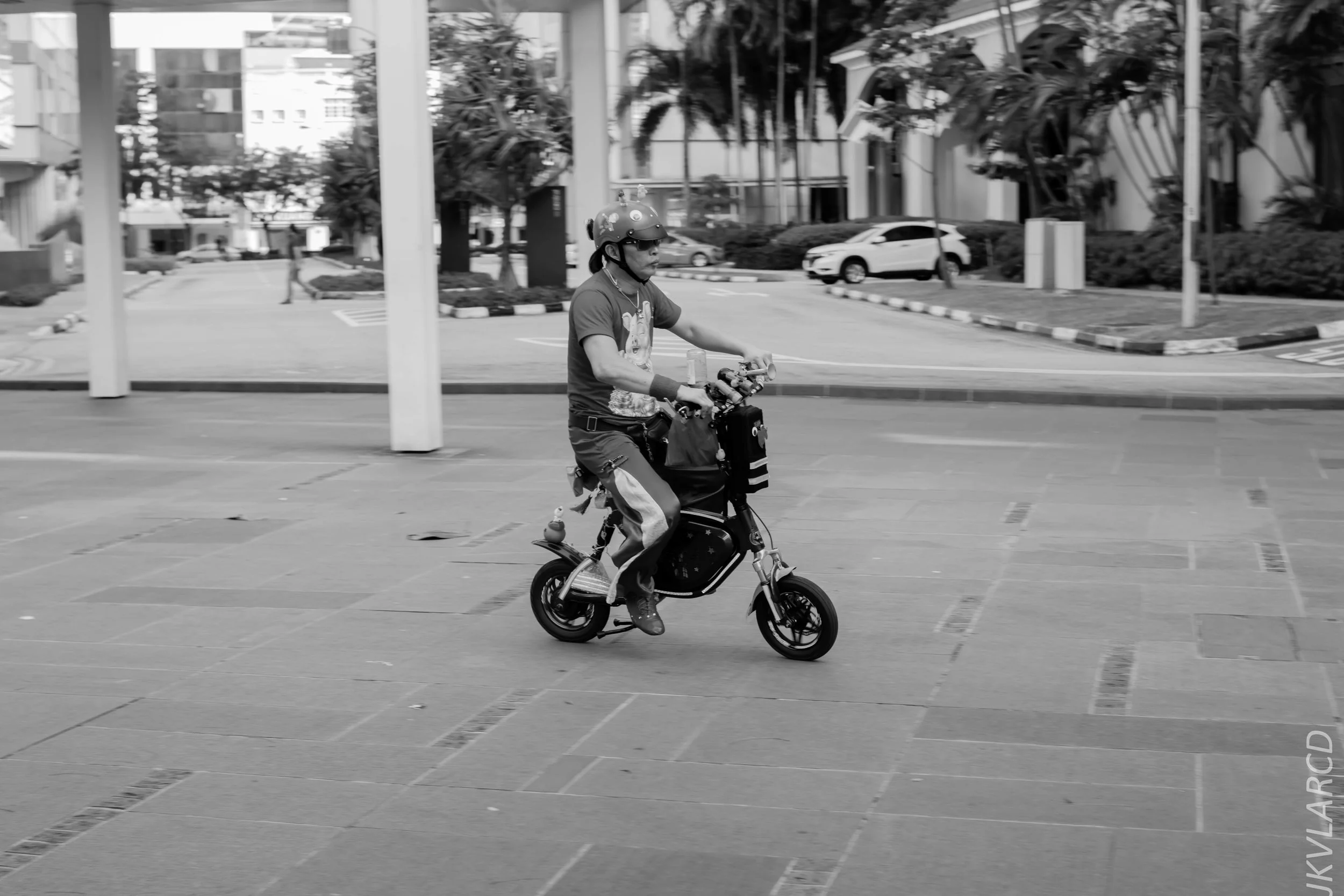 EOS 7D Mark II_2019_02_06_1489.jpg