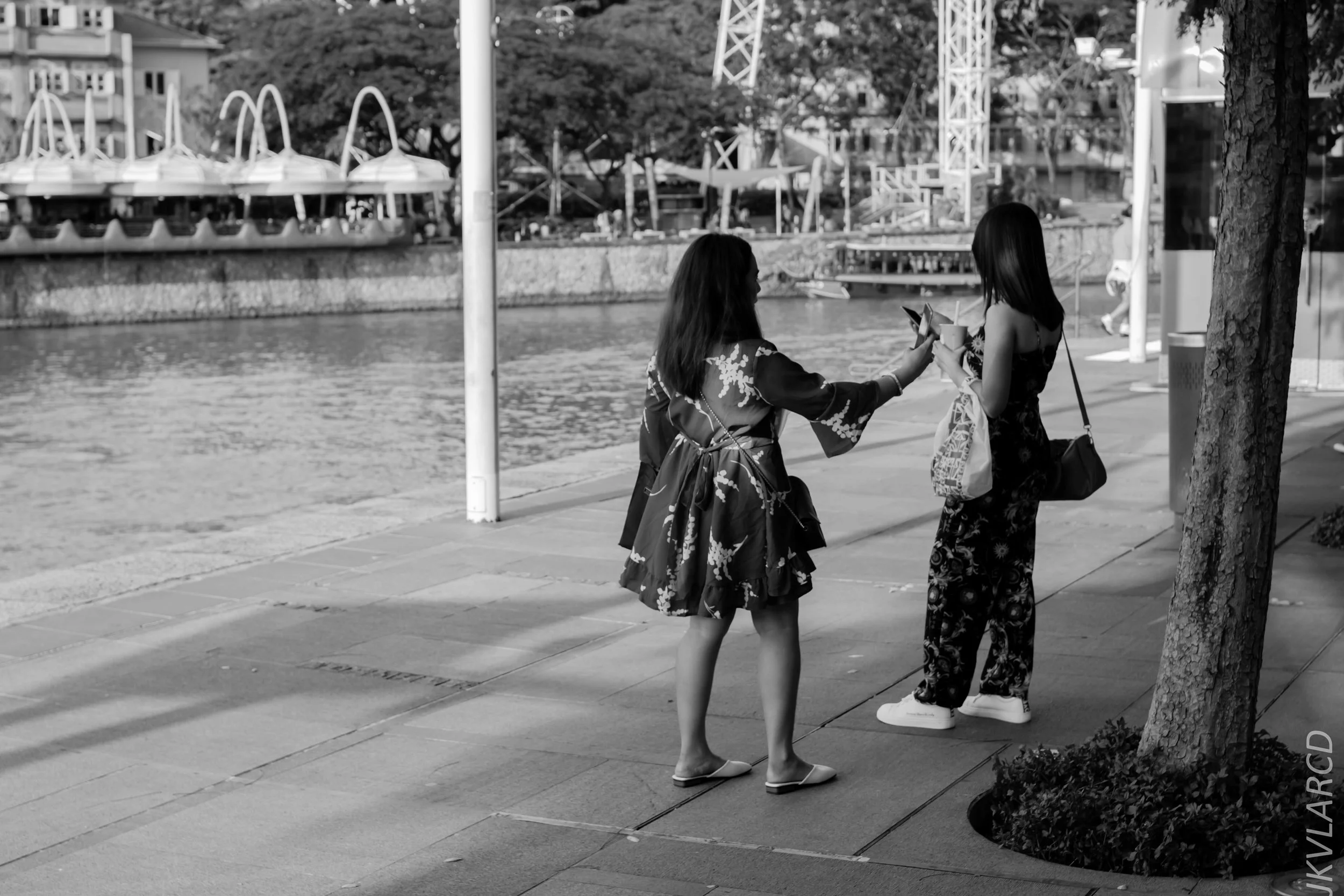 EOS 7D Mark II_2019_02_06_1492.jpg