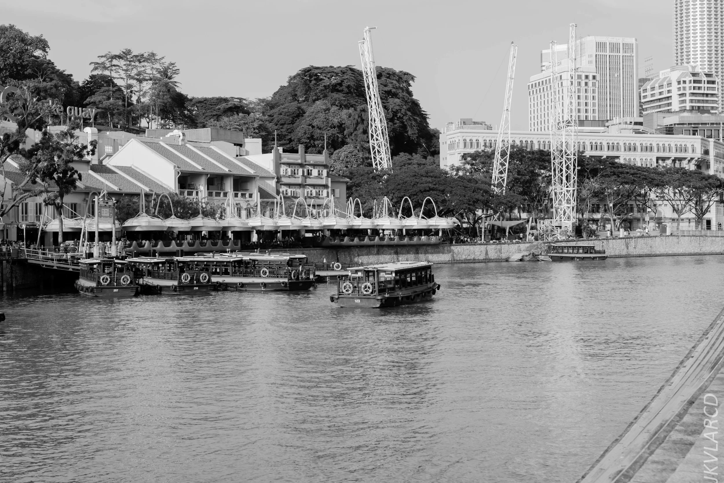 EOS 7D Mark II_2019_02_06_1490.jpg