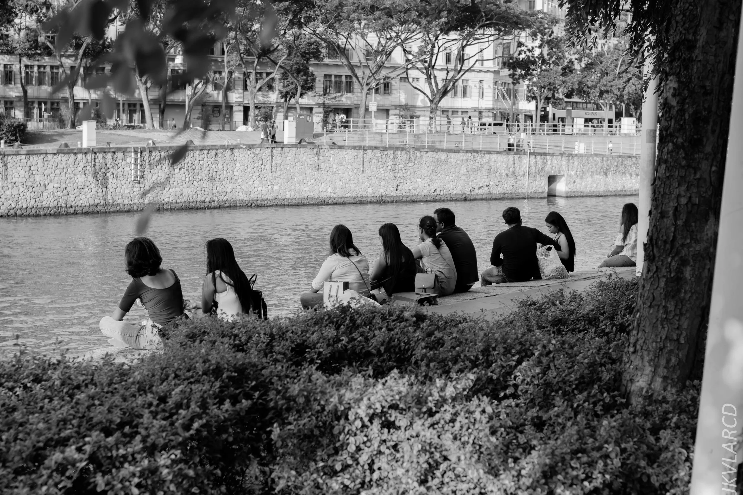 EOS 7D Mark II_2019_02_06_1499.jpg