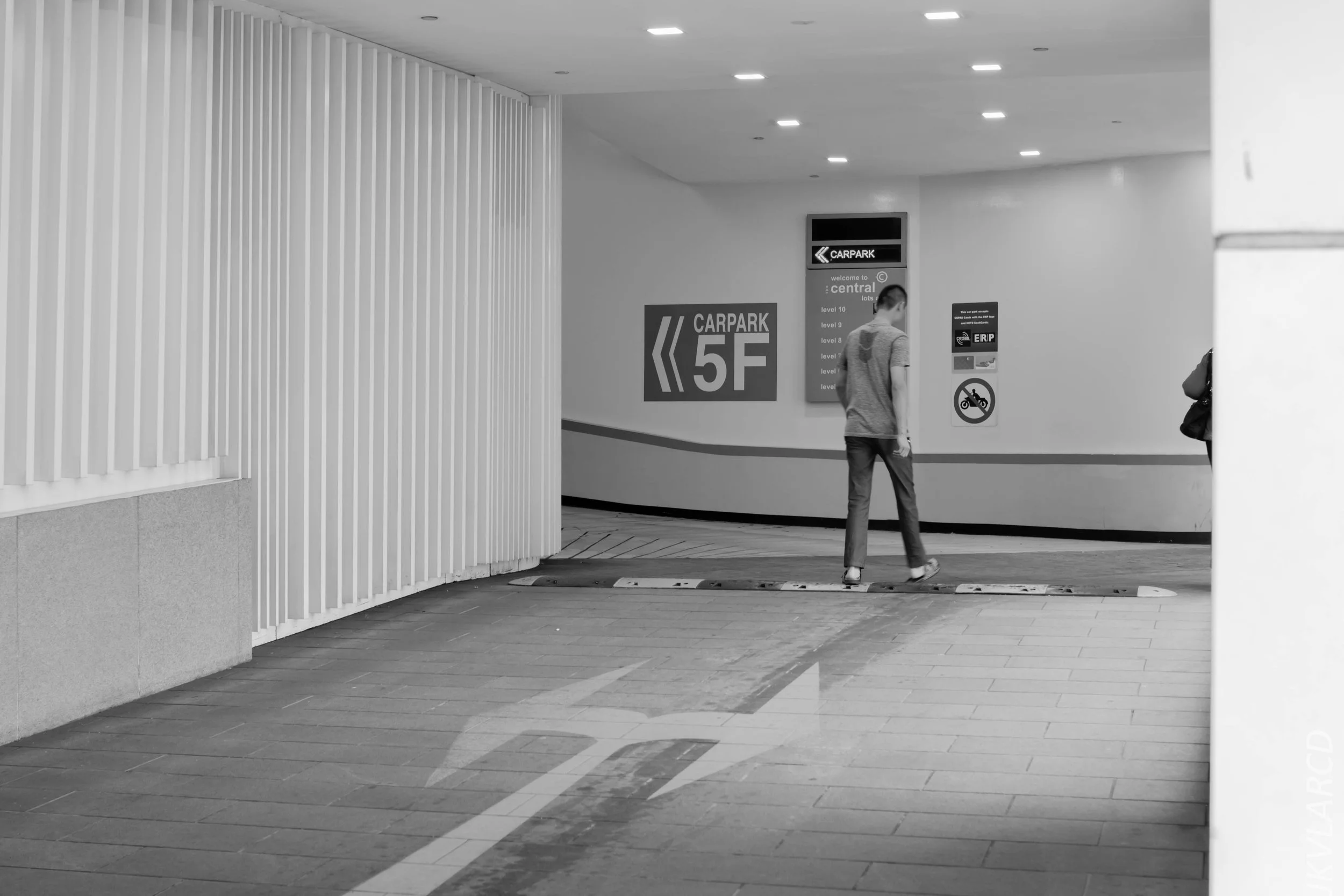 EOS 7D Mark II_2019_02_06_1503.jpg