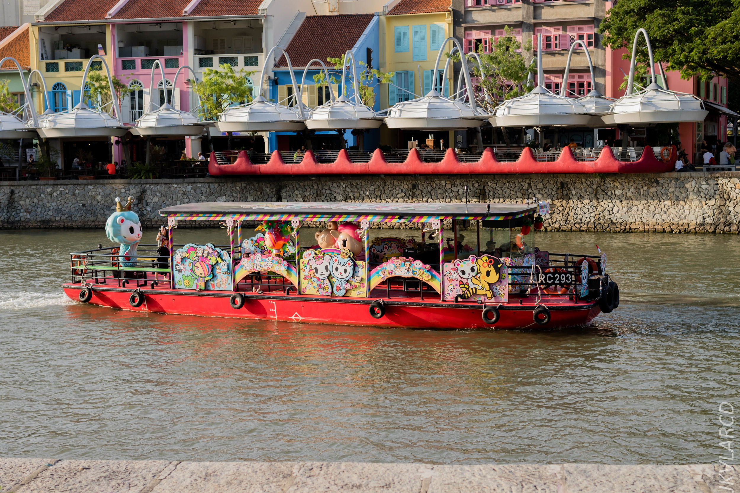 EOS 7D Mark II_2019_02_06_1500.jpg