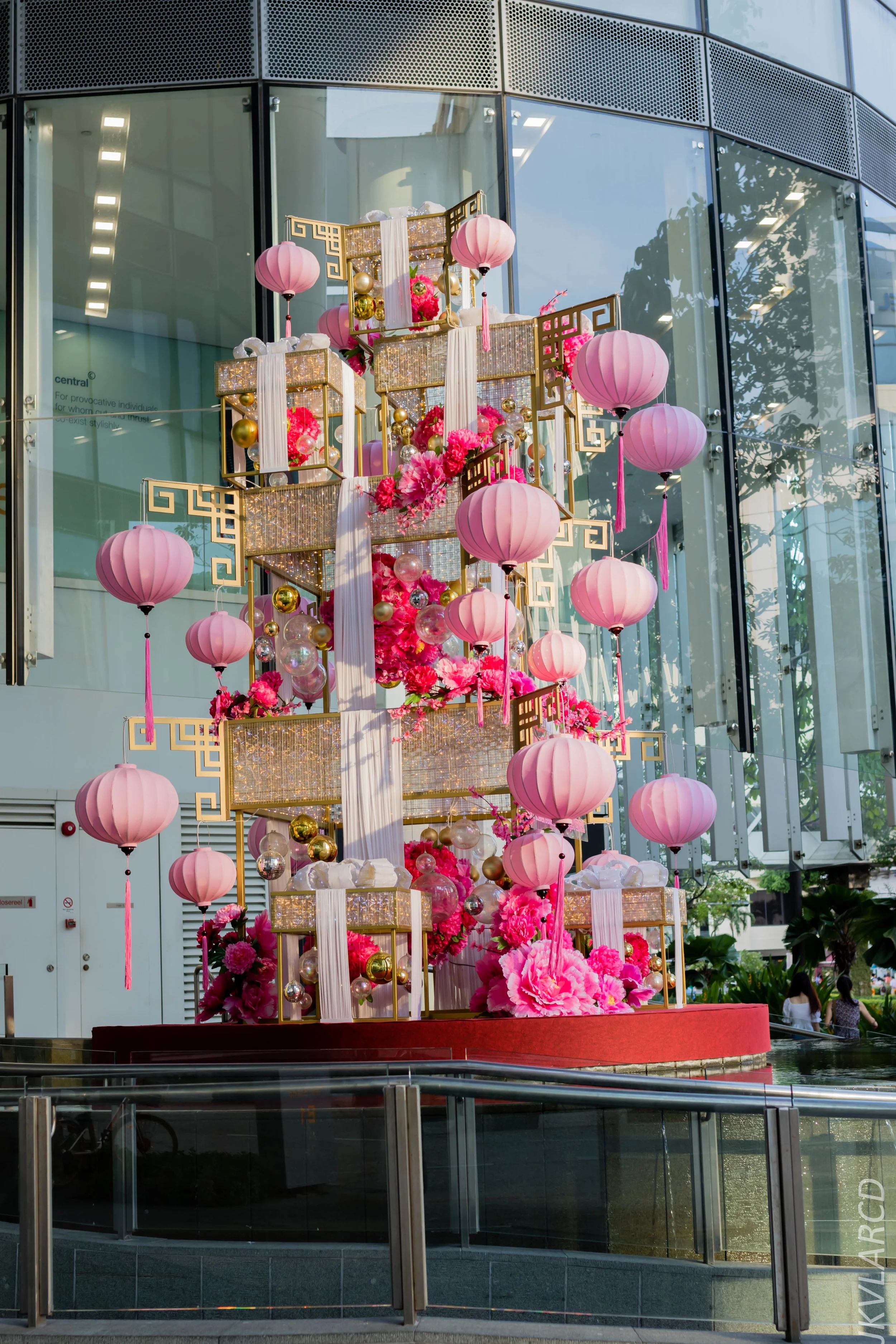 EOS 7D Mark II_2019_02_06_1504.jpg