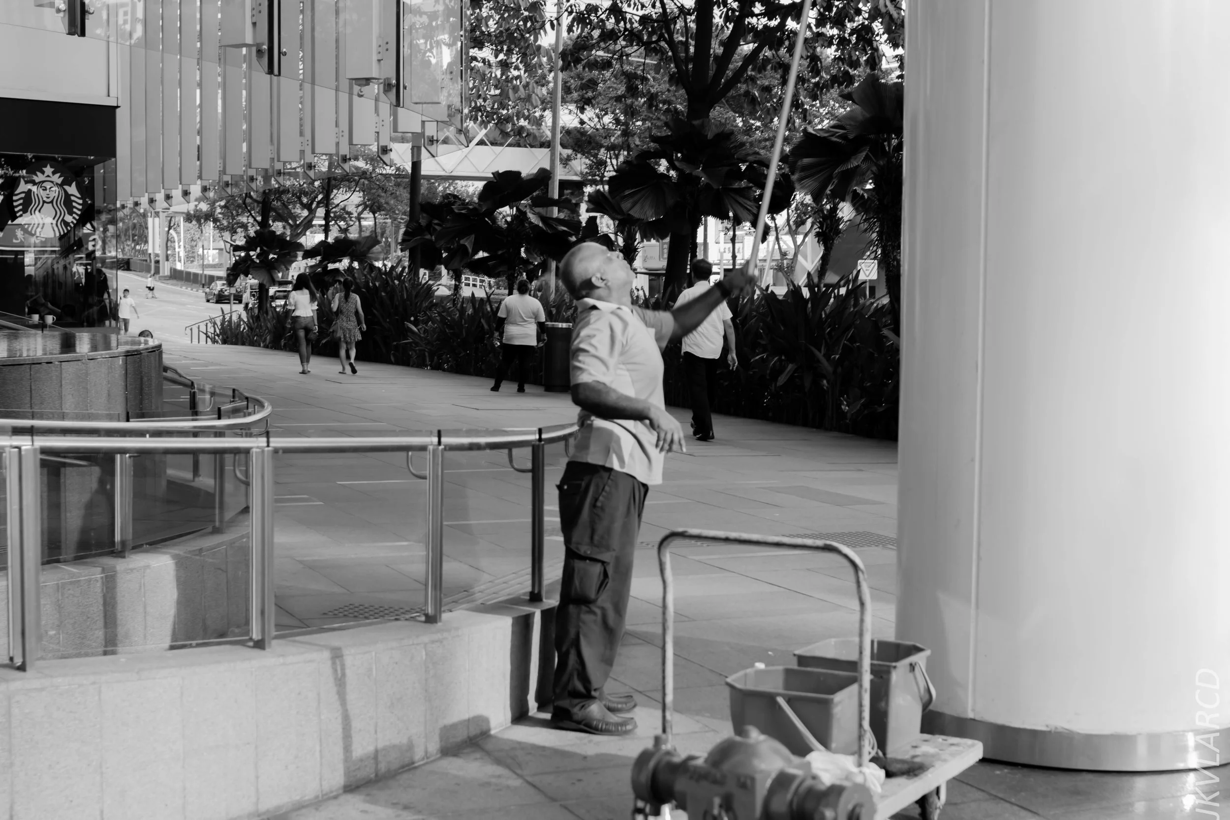 EOS 7D Mark II_2019_02_06_1505.jpg