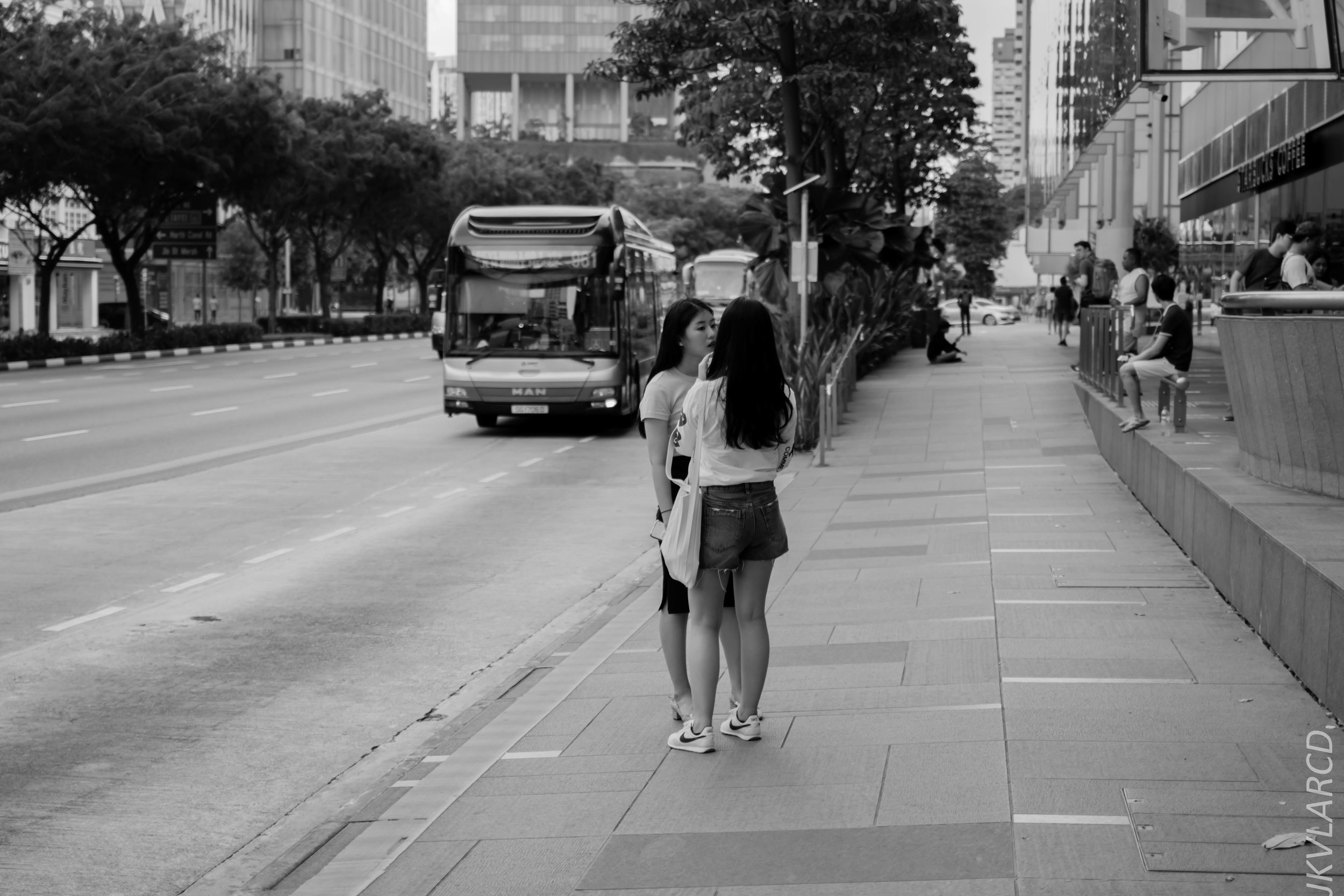 EOS 7D Mark II_2019_02_06_1510.jpg