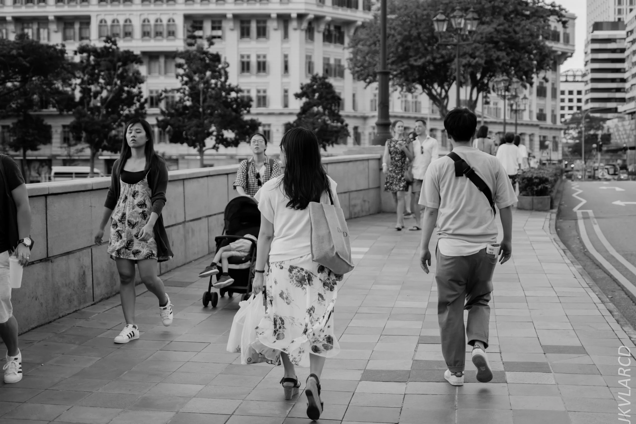 EOS 7D Mark II_2019_02_06_1511.jpg