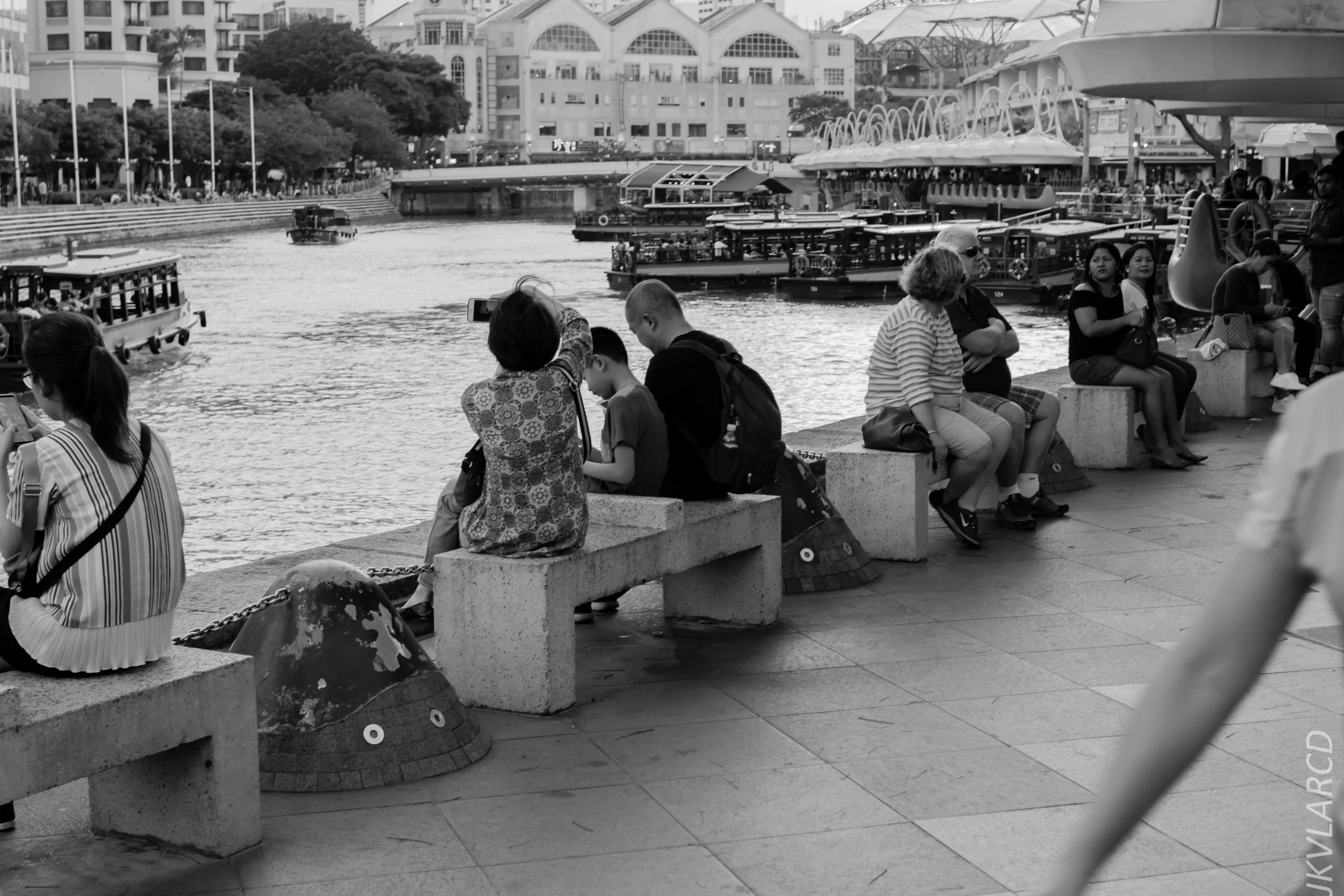 EOS 7D Mark II_2019_02_06_1523.jpg