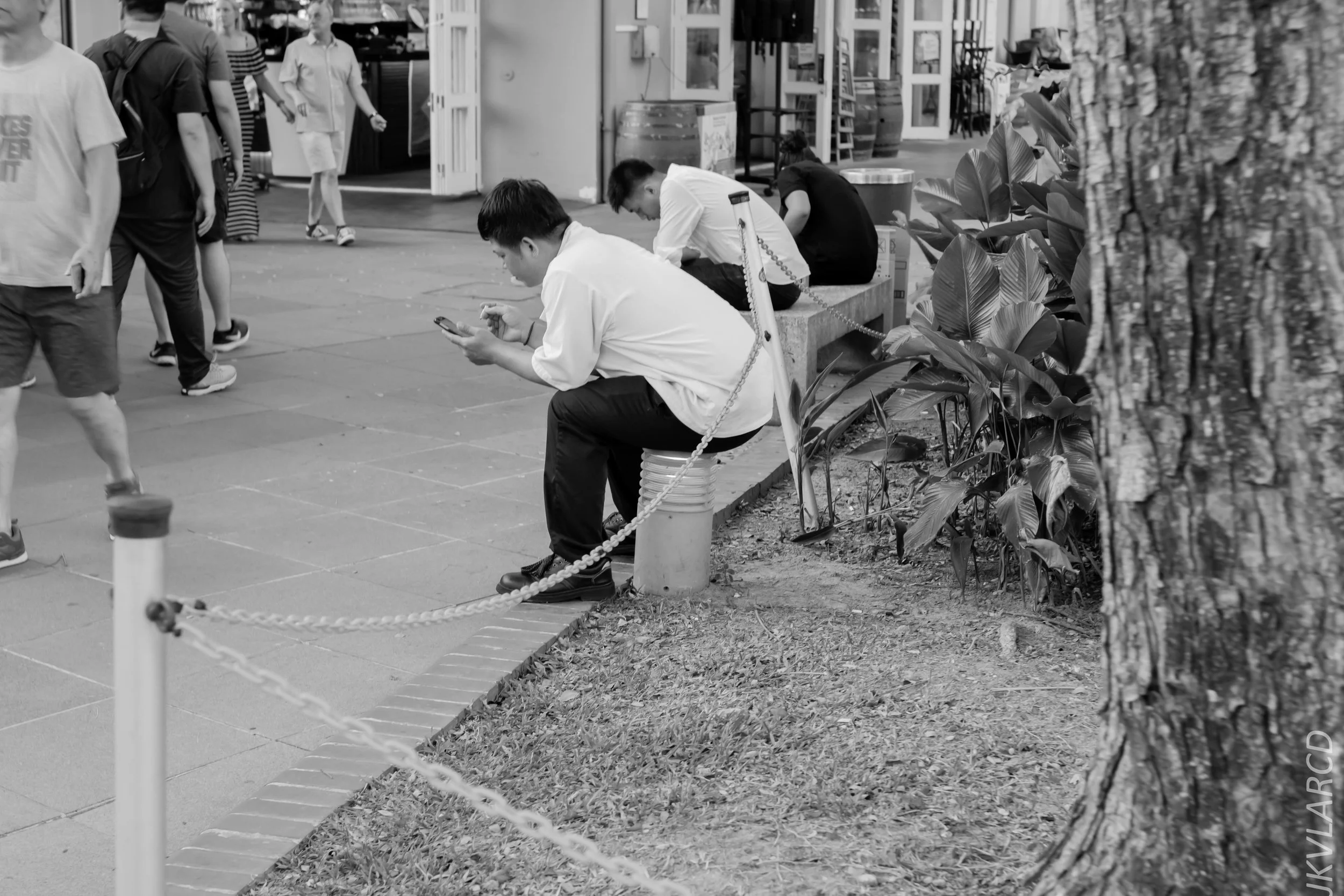 EOS 7D Mark II_2019_02_06_1524.jpg