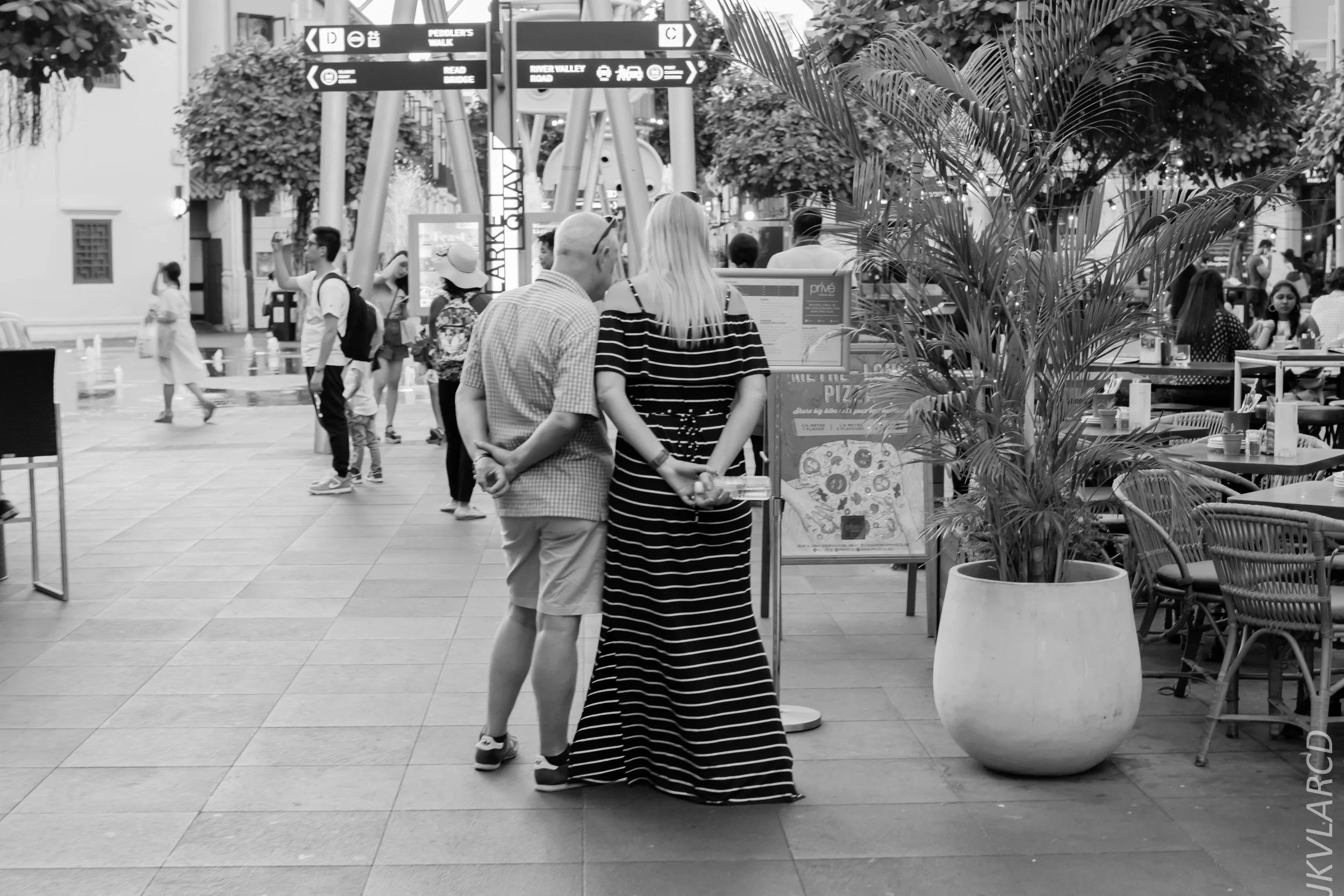 EOS 7D Mark II_2019_02_06_1530.jpg